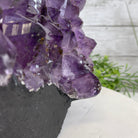 Extra Quality Amethyst Druse Cluster on Cement Base, 24 lbs and 10.5" Tall #5614-0026 - Brazil GemsBrazil GemsExtra Quality Amethyst Druse Cluster on Cement Base, 24 lbs and 10.5" Tall #5614-0026Clusters on Cement Bases5614-0026