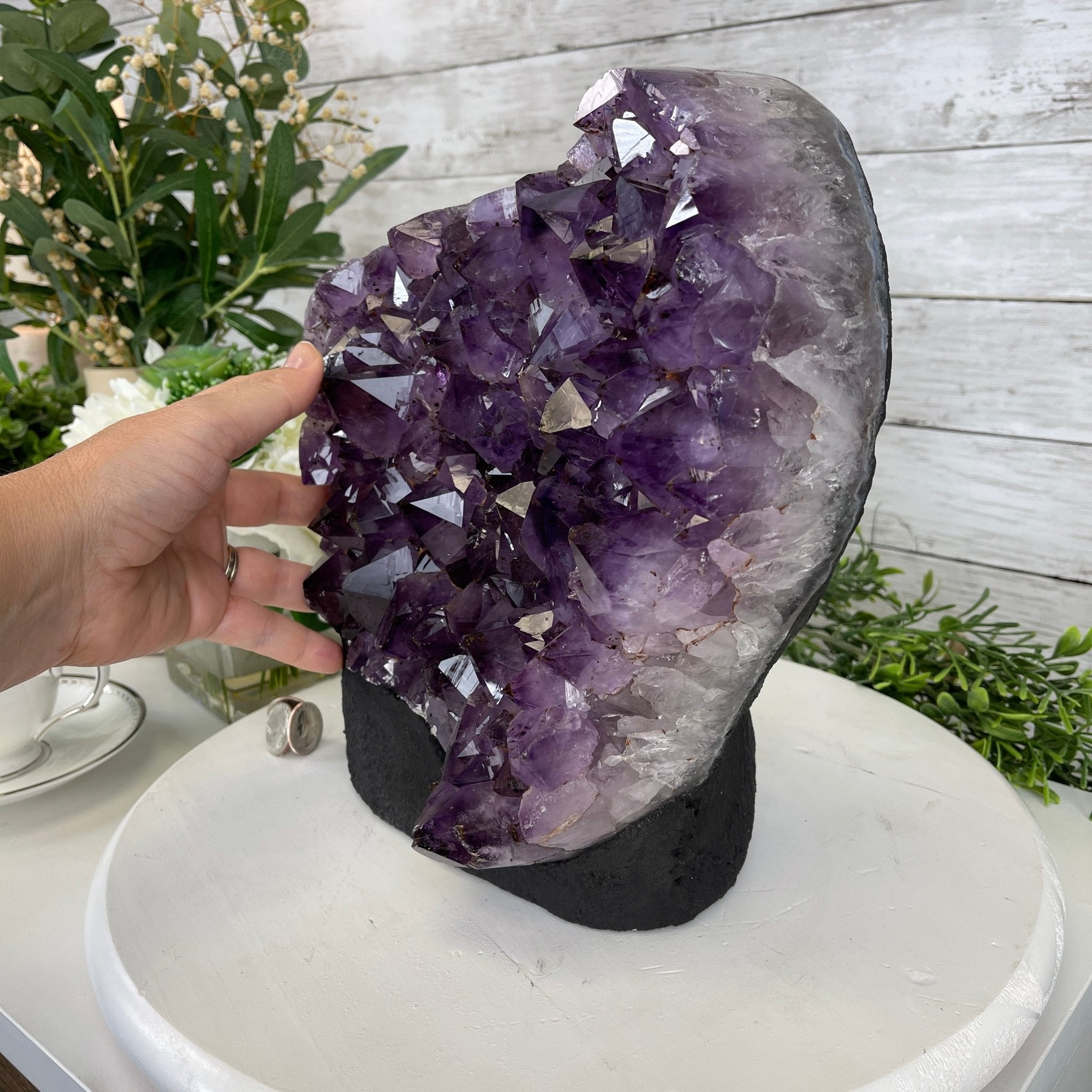 Extra Quality Amethyst Druse Cluster on Cement Base, 24 lbs and 10.5" Tall #5614-0026 - Brazil GemsBrazil GemsExtra Quality Amethyst Druse Cluster on Cement Base, 24 lbs and 10.5" Tall #5614-0026Clusters on Cement Bases5614-0026
