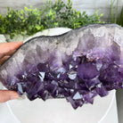 Extra Quality Amethyst Druse Cluster on Cement Base, 24 lbs and 10.5" Tall #5614-0026 - Brazil GemsBrazil GemsExtra Quality Amethyst Druse Cluster on Cement Base, 24 lbs and 10.5" Tall #5614-0026Clusters on Cement Bases5614-0026