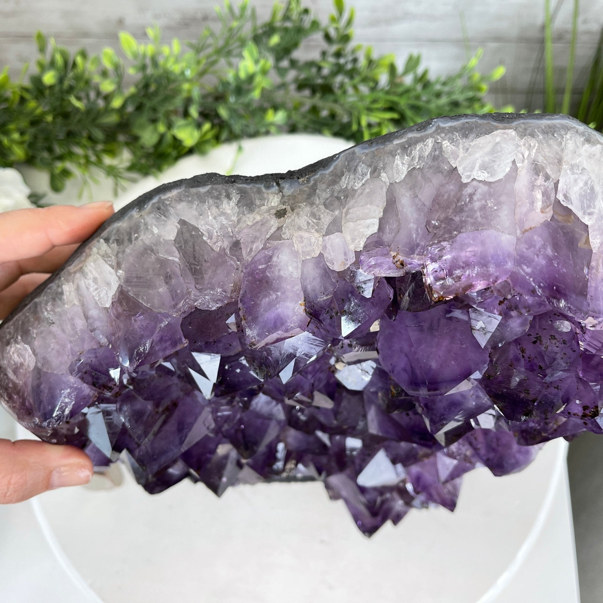 Extra Quality Amethyst Druse Cluster on Cement Base, 24 lbs and 10.5" Tall #5614-0026 - Brazil GemsBrazil GemsExtra Quality Amethyst Druse Cluster on Cement Base, 24 lbs and 10.5" Tall #5614-0026Clusters on Cement Bases5614-0026