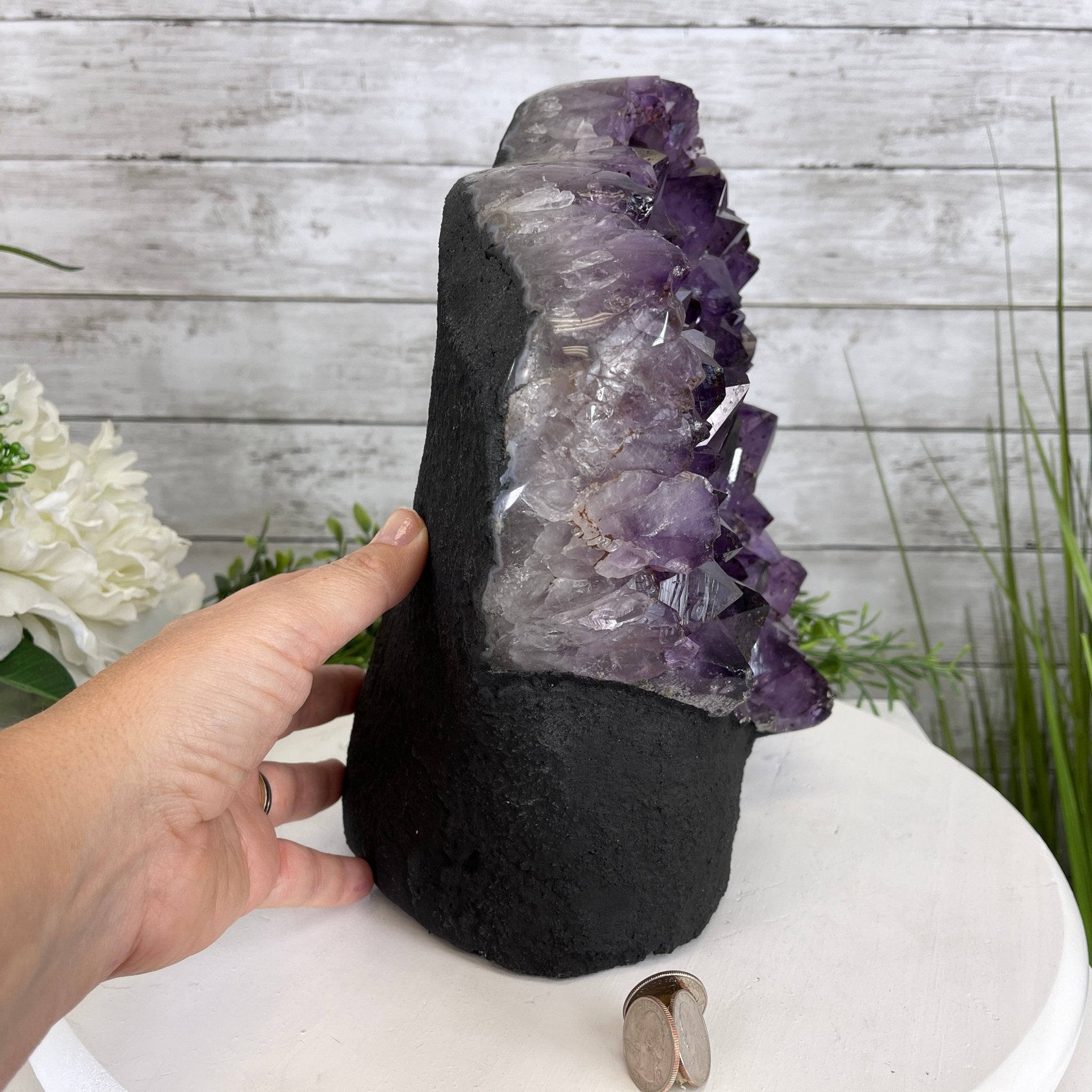 Extra Quality Amethyst Druse Cluster on Cement Base, 24 lbs and 10.5" Tall #5614-0026 - Brazil GemsBrazil GemsExtra Quality Amethyst Druse Cluster on Cement Base, 24 lbs and 10.5" Tall #5614-0026Clusters on Cement Bases5614-0026