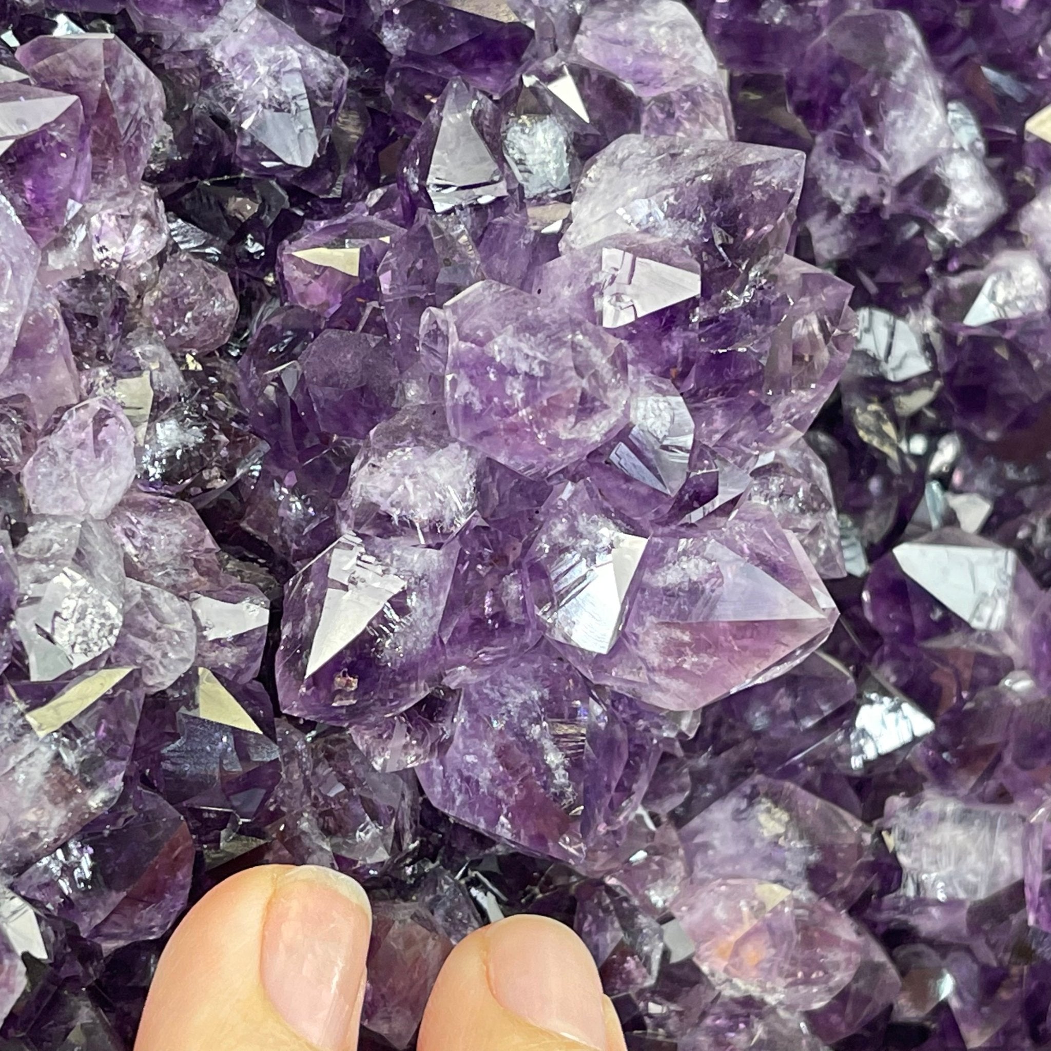 Extra Quality Amethyst Druse Cluster on Cement Base, 38.4 lbs and 23" Tall #5614-0053 - Brazil GemsBrazil GemsExtra Quality Amethyst Druse Cluster on Cement Base, 38.4 lbs and 23" Tall #5614-0053Clusters on Cement Bases5614-0053