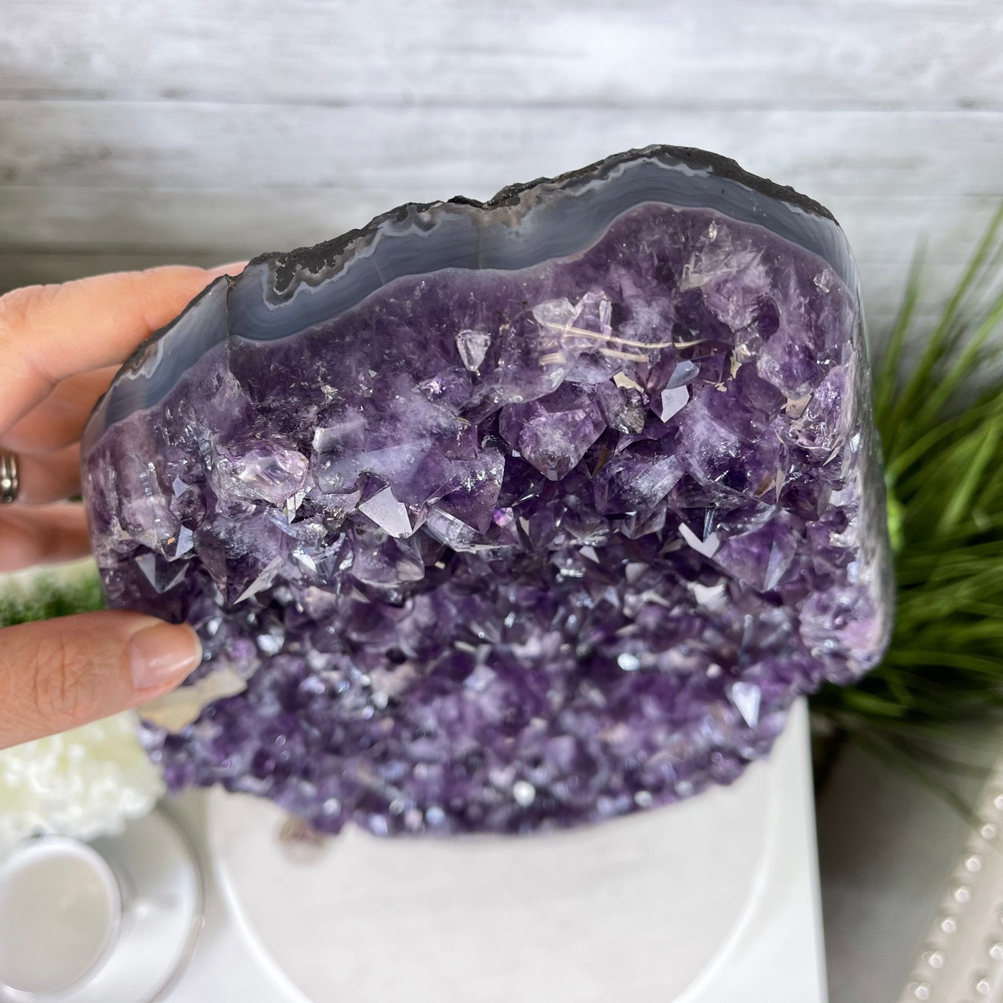 Extra Quality Amethyst Druse Cluster on Cement Base, 38.4 lbs and 23" Tall #5614-0053 - Brazil GemsBrazil GemsExtra Quality Amethyst Druse Cluster on Cement Base, 38.4 lbs and 23" Tall #5614-0053Clusters on Cement Bases5614-0053