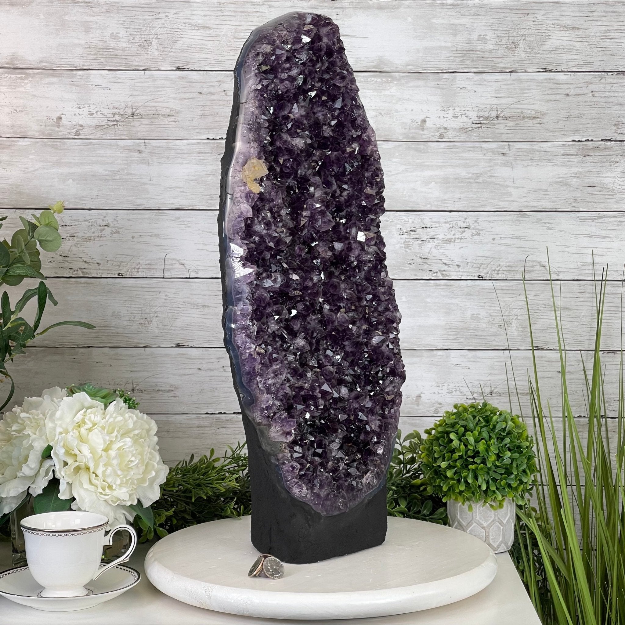 Extra Quality Amethyst Druse Cluster on Cement Base, 38.4 lbs and 23" Tall #5614-0053 - Brazil GemsBrazil GemsExtra Quality Amethyst Druse Cluster on Cement Base, 38.4 lbs and 23" Tall #5614-0053Clusters on Cement Bases5614-0053