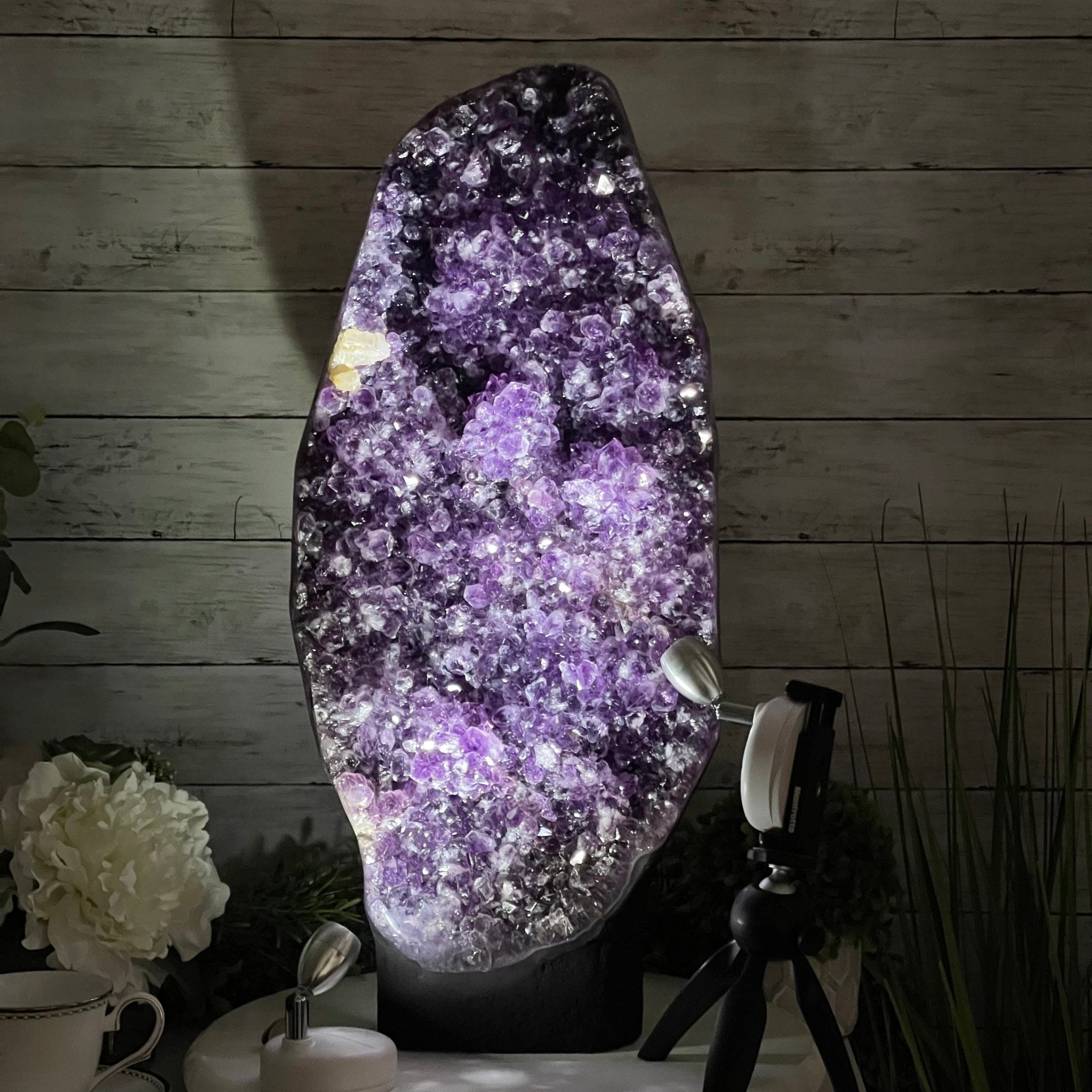 Extra Quality Amethyst Druse Cluster on Cement Base, 38.4 lbs and 23" Tall #5614-0053 - Brazil GemsBrazil GemsExtra Quality Amethyst Druse Cluster on Cement Base, 38.4 lbs and 23" Tall #5614-0053Clusters on Cement Bases5614-0053