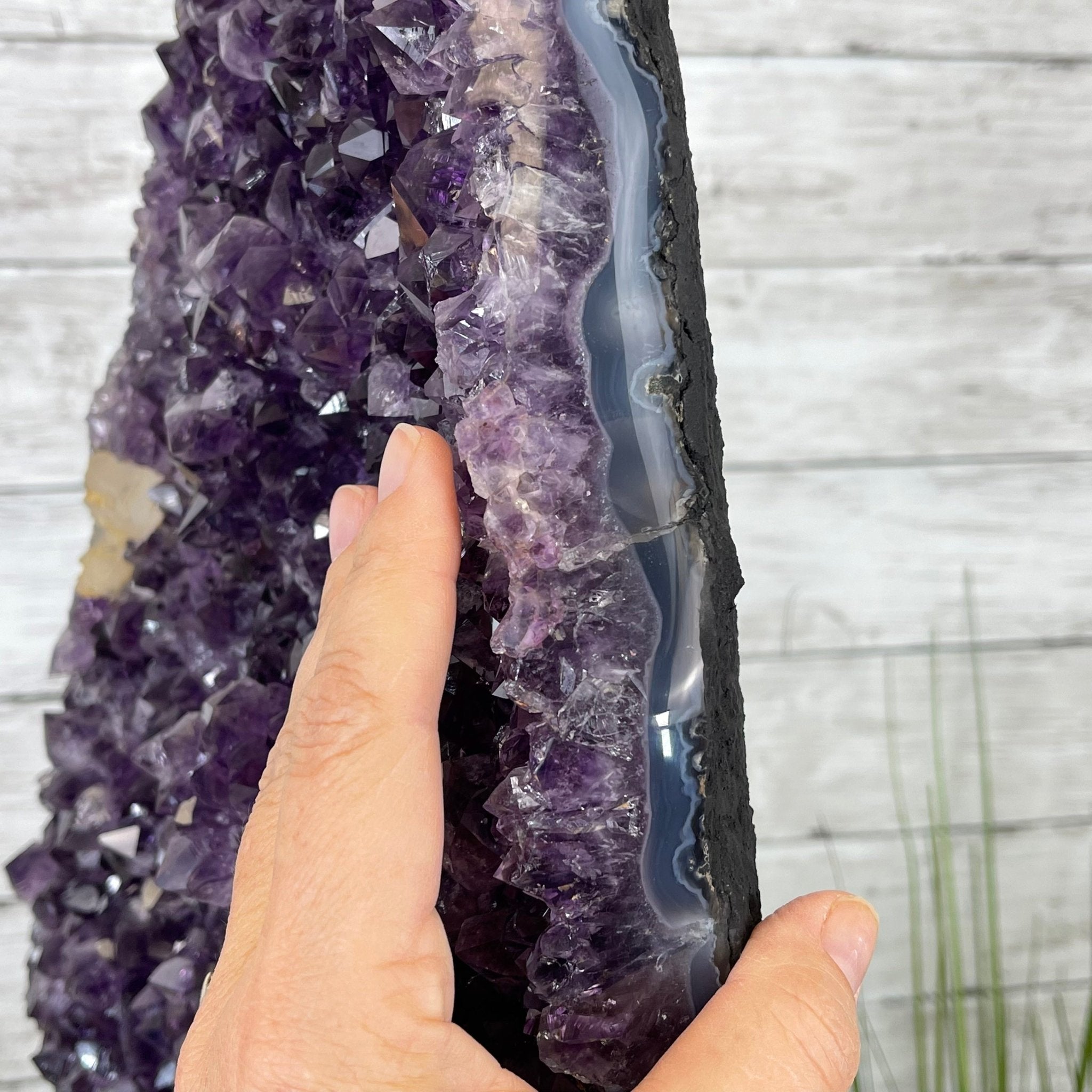 Extra Quality Amethyst Druse Cluster on Cement Base, 38.4 lbs and 23" Tall #5614-0053 - Brazil GemsBrazil GemsExtra Quality Amethyst Druse Cluster on Cement Base, 38.4 lbs and 23" Tall #5614-0053Clusters on Cement Bases5614-0053