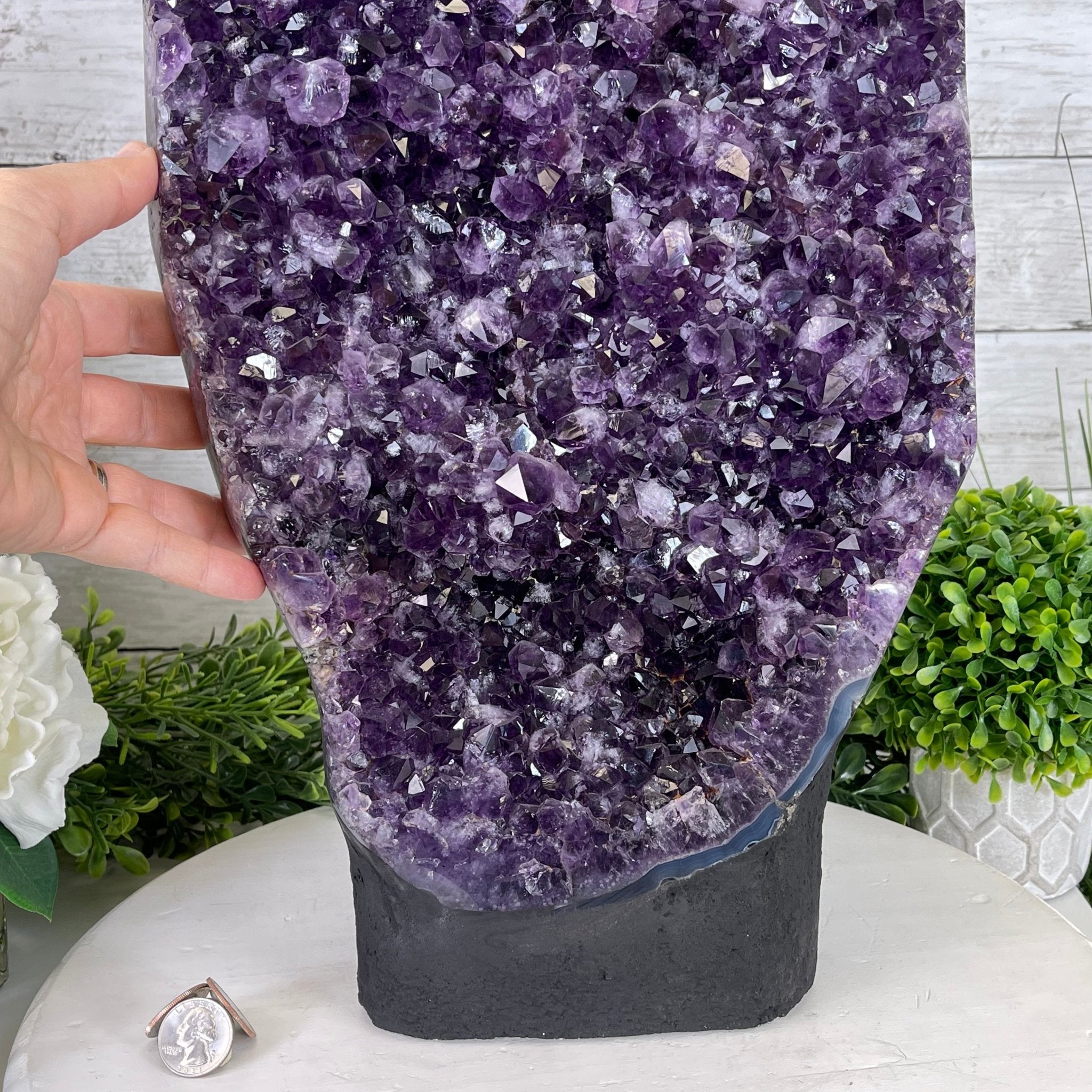 Extra Quality Amethyst Druse Cluster on Cement Base, 38.4 lbs and 23" Tall #5614-0053 - Brazil GemsBrazil GemsExtra Quality Amethyst Druse Cluster on Cement Base, 38.4 lbs and 23" Tall #5614-0053Clusters on Cement Bases5614-0053