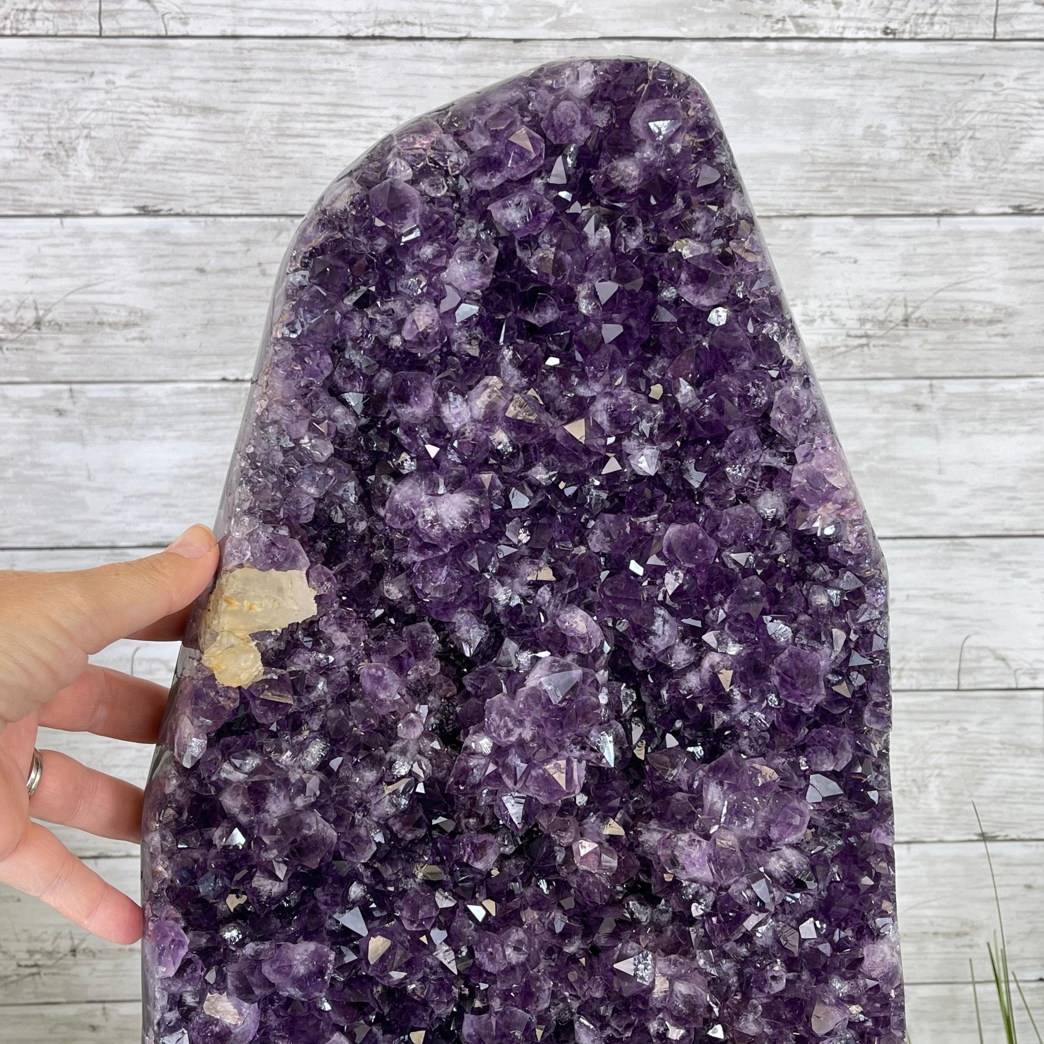 Extra Quality Amethyst Druse Cluster on Cement Base, 38.4 lbs and 23" Tall #5614-0053 - Brazil GemsBrazil GemsExtra Quality Amethyst Druse Cluster on Cement Base, 38.4 lbs and 23" Tall #5614-0053Clusters on Cement Bases5614-0053
