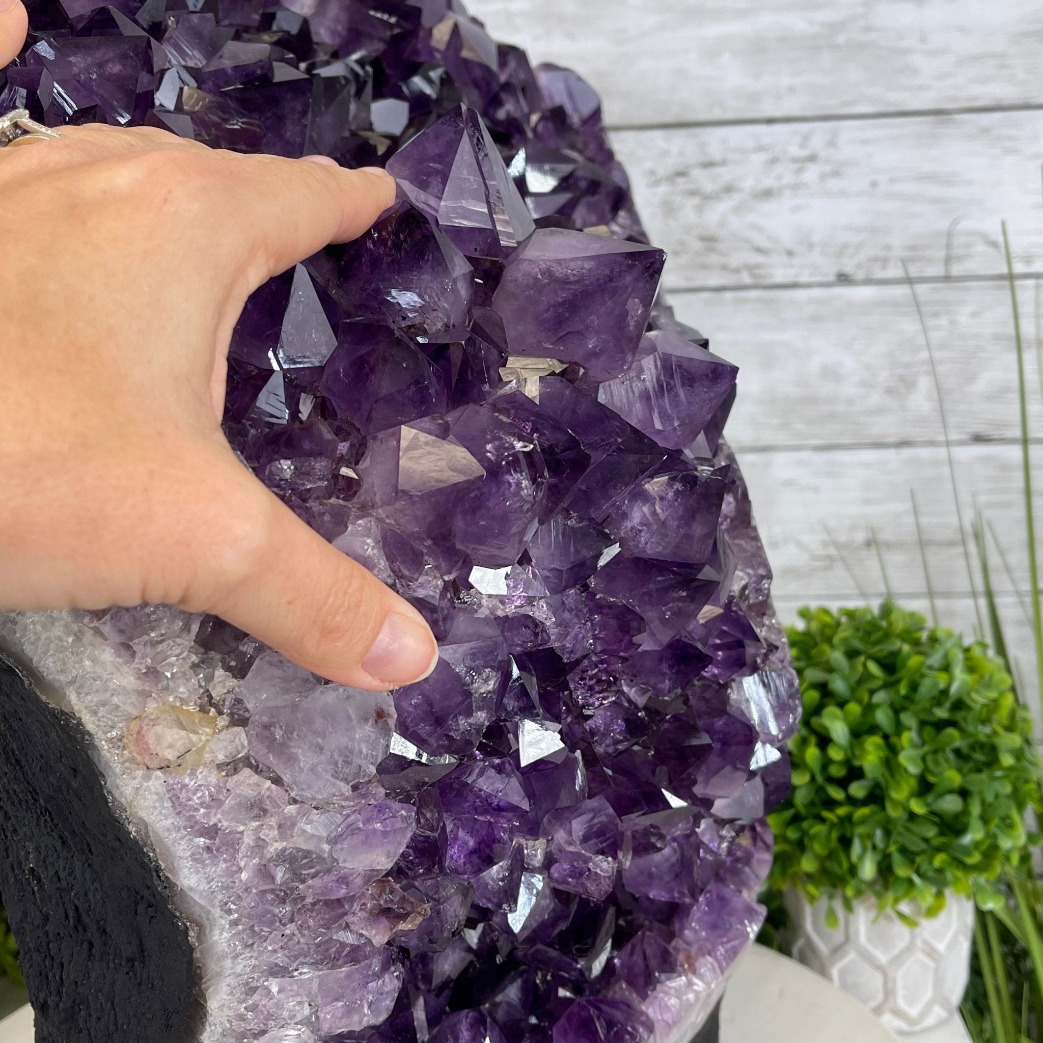 Extra Quality Amethyst Druse Cluster on Cement Base, 77.8 lbs and 16.7" Tall #5614-0062 - Brazil GemsBrazil GemsExtra Quality Amethyst Druse Cluster on Cement Base, 77.8 lbs and 16.7" Tall #5614-0062Clusters on Cement Bases5614-0062