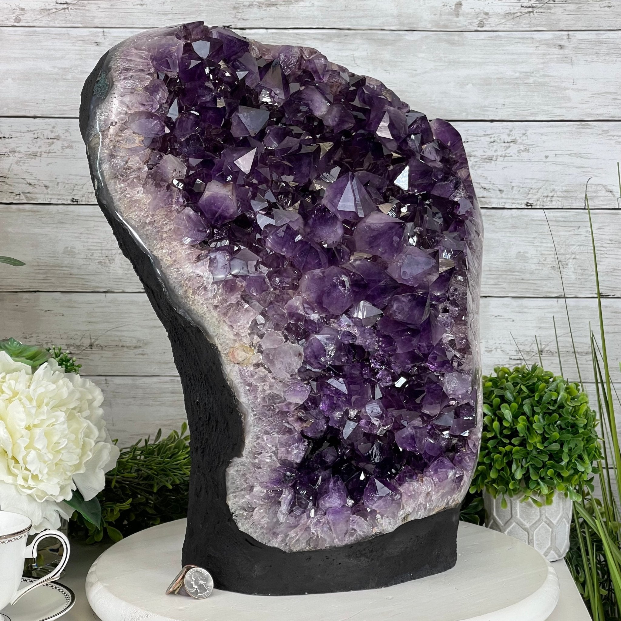 Extra Quality Amethyst Druse Cluster on Cement Base, 77.8 lbs and 16.7" Tall #5614-0062 - Brazil GemsBrazil GemsExtra Quality Amethyst Druse Cluster on Cement Base, 77.8 lbs and 16.7" Tall #5614-0062Clusters on Cement Bases5614-0062