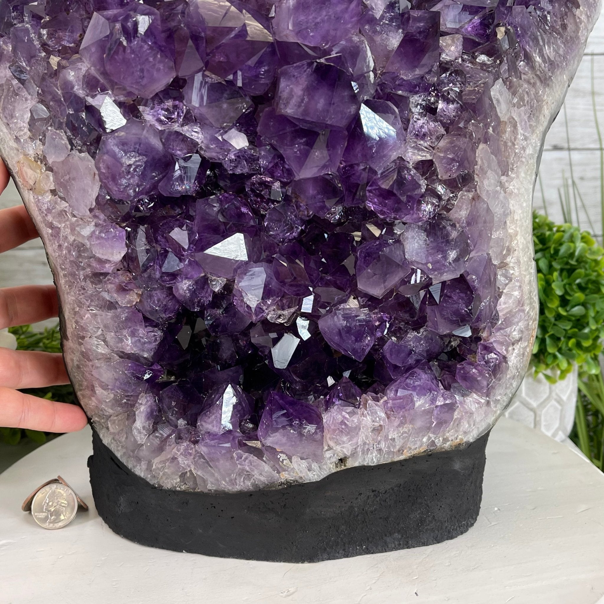 Extra Quality Amethyst Druse Cluster on Cement Base, 77.8 lbs and 16.7" Tall #5614-0062 - Brazil GemsBrazil GemsExtra Quality Amethyst Druse Cluster on Cement Base, 77.8 lbs and 16.7" Tall #5614-0062Clusters on Cement Bases5614-0062