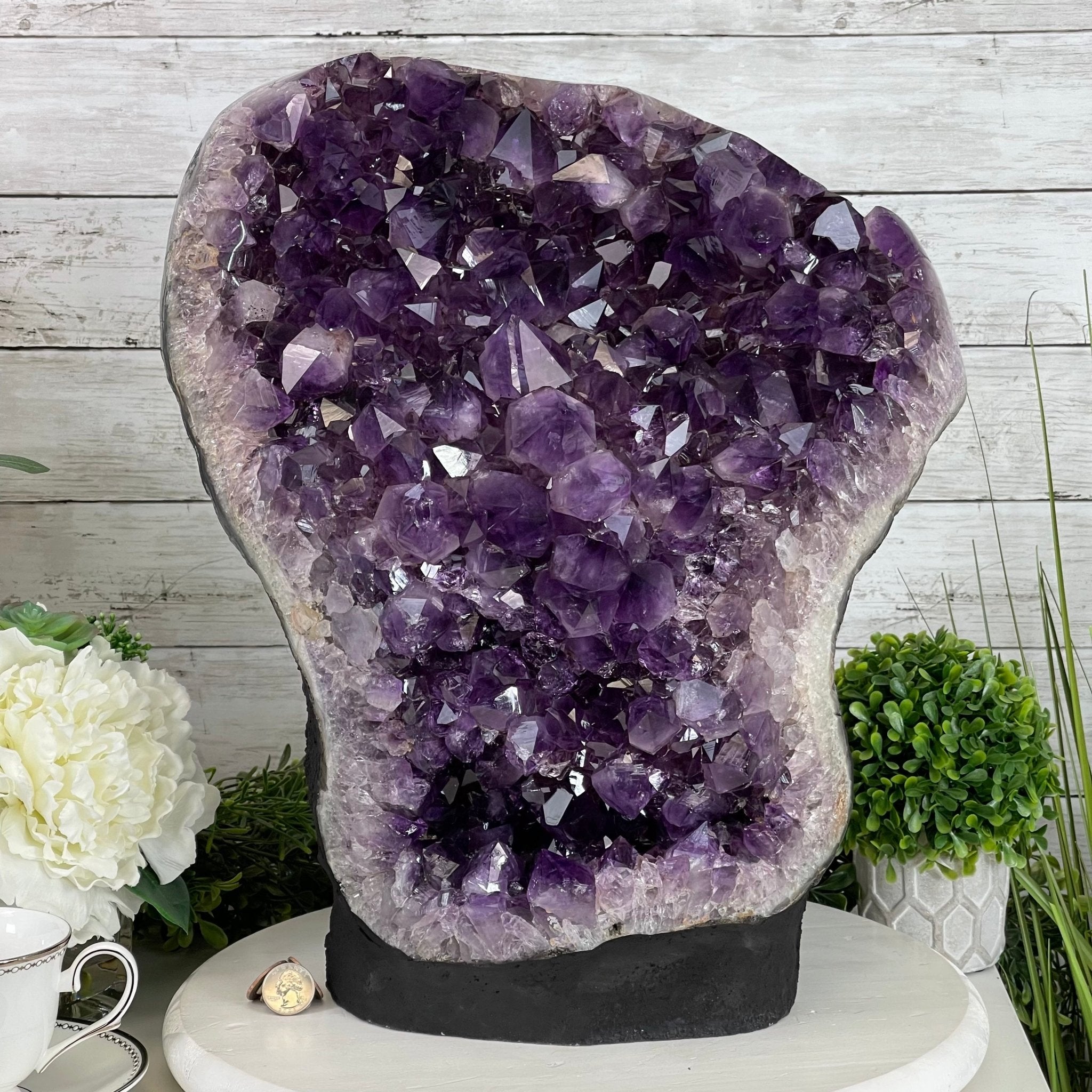 Extra Quality Amethyst Druse Cluster on Cement Base, 77.8 lbs and 16.7" Tall #5614-0062 - Brazil GemsBrazil GemsExtra Quality Amethyst Druse Cluster on Cement Base, 77.8 lbs and 16.7" Tall #5614-0062Clusters on Cement Bases5614-0062