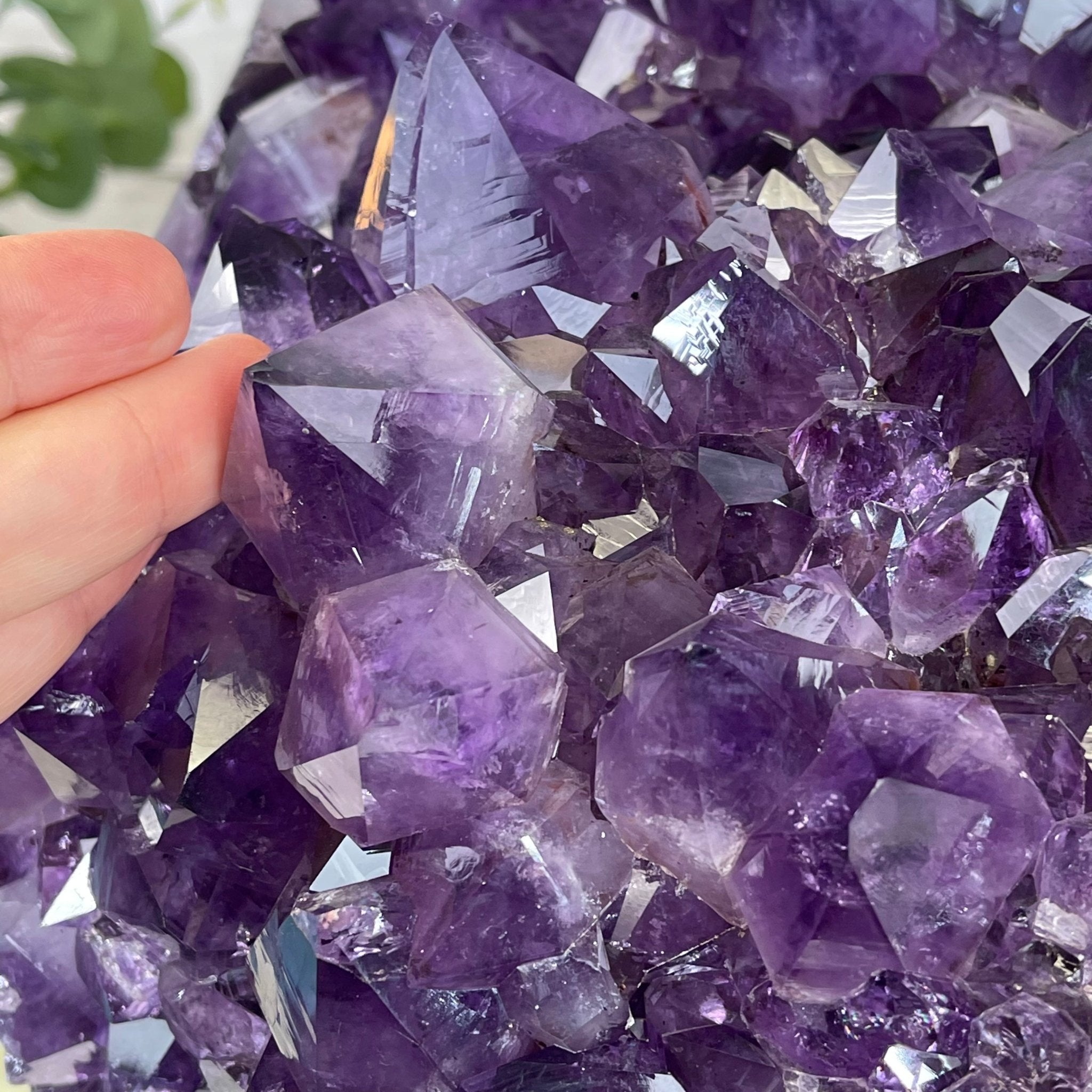 Extra Quality Amethyst Druse Cluster on Cement Base, 77.8 lbs and 16.7" Tall #5614-0062 - Brazil GemsBrazil GemsExtra Quality Amethyst Druse Cluster on Cement Base, 77.8 lbs and 16.7" Tall #5614-0062Clusters on Cement Bases5614-0062