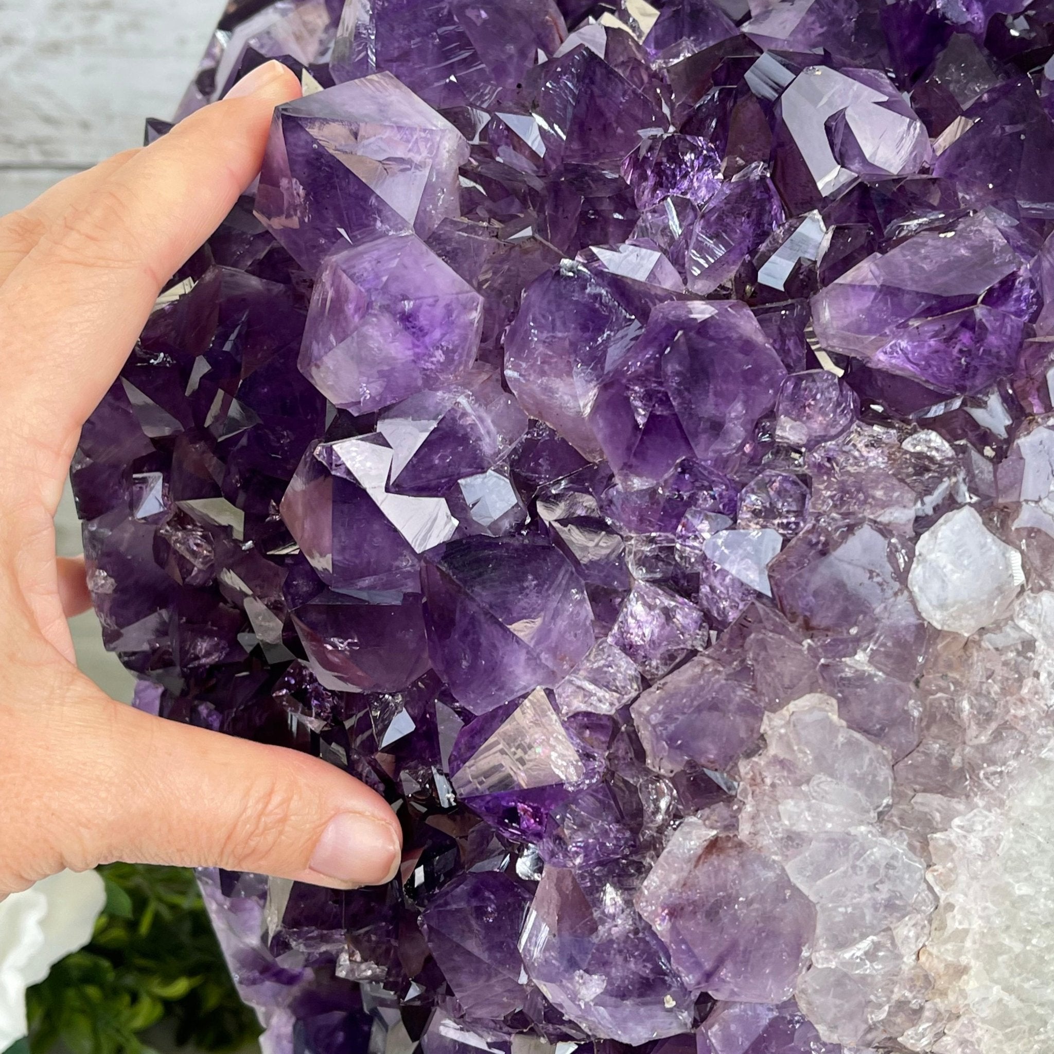 Extra Quality Amethyst Druse Cluster on Cement Base, 77.8 lbs and 16.7" Tall #5614-0062 - Brazil GemsBrazil GemsExtra Quality Amethyst Druse Cluster on Cement Base, 77.8 lbs and 16.7" Tall #5614-0062Clusters on Cement Bases5614-0062