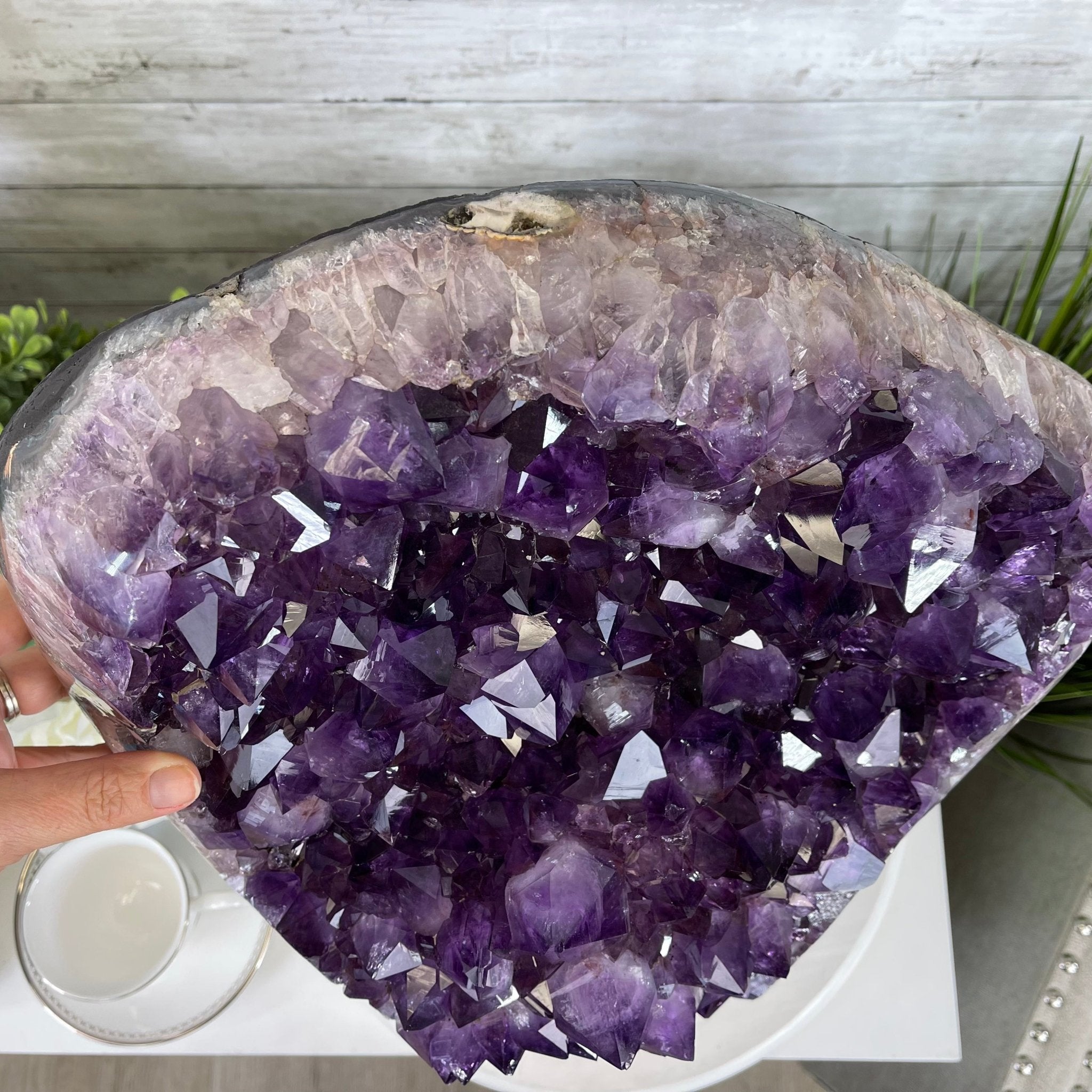 Extra Quality Amethyst Druse Cluster on Cement Base, 77.8 lbs and 16.7" Tall #5614-0062 - Brazil GemsBrazil GemsExtra Quality Amethyst Druse Cluster on Cement Base, 77.8 lbs and 16.7" Tall #5614-0062Clusters on Cement Bases5614-0062