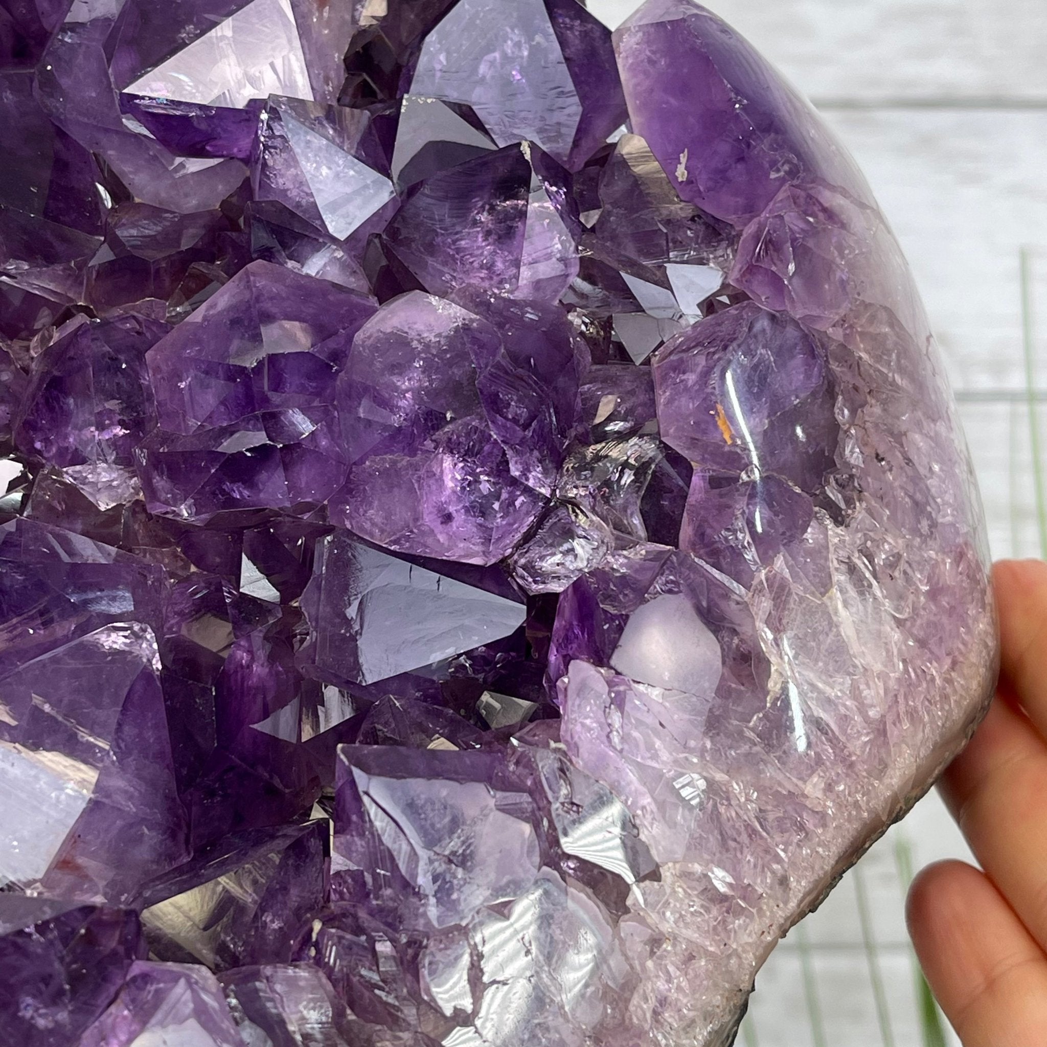 Extra Quality Amethyst Druse Cluster on Cement Base, 77.8 lbs and 16.7" Tall #5614-0062 - Brazil GemsBrazil GemsExtra Quality Amethyst Druse Cluster on Cement Base, 77.8 lbs and 16.7" Tall #5614-0062Clusters on Cement Bases5614-0062