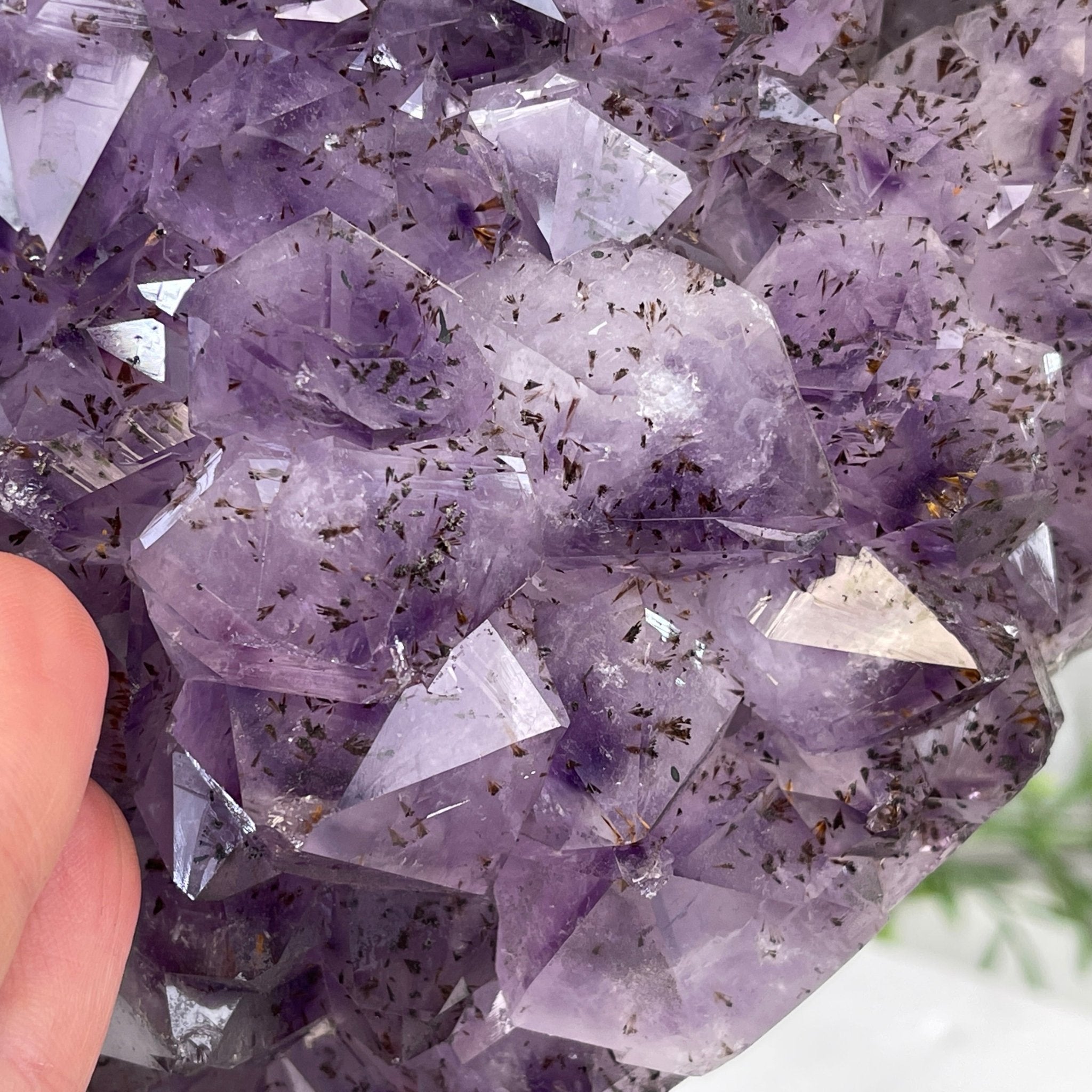 Extra Quality Amethyst Heart Geode, metal stand, 25.8 lbs & 12.8" Tall #5463-0186 by Brazil Gems - Brazil GemsBrazil GemsExtra Quality Amethyst Heart Geode, metal stand, 25.8 lbs & 12.8" Tall #5463-0186 by Brazil GemsHearts5463-0186