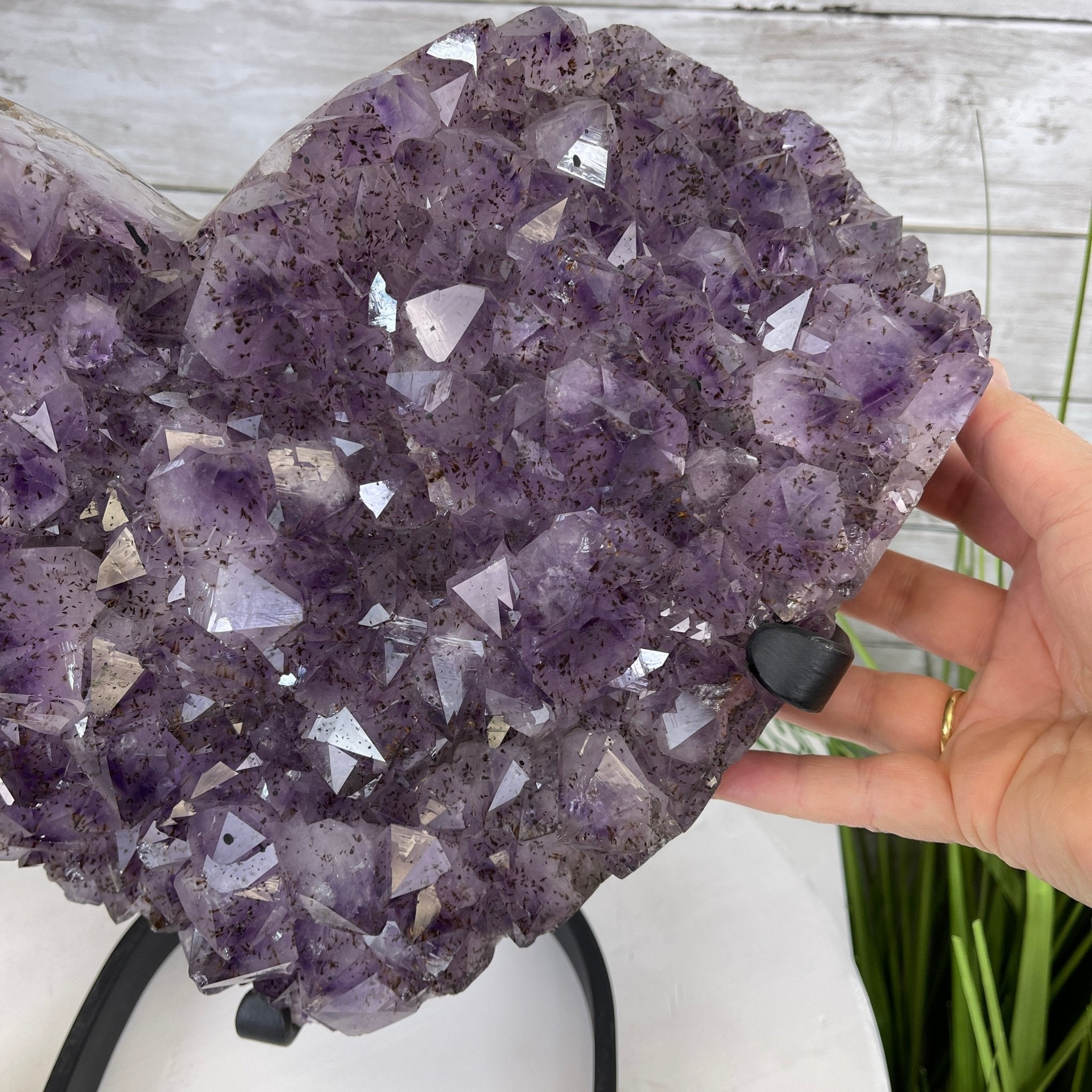 Extra Quality Amethyst Heart Geode, metal stand, 25.8 lbs & 12.8" Tall #5463-0186 by Brazil Gems - Brazil GemsBrazil GemsExtra Quality Amethyst Heart Geode, metal stand, 25.8 lbs & 12.8" Tall #5463-0186 by Brazil GemsHearts5463-0186