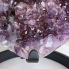 Extra Quality Amethyst Heart Geode, metal stand, 40.5 lbs & 14.75" Tall #5463-0188 by Brazil Gems - Brazil GemsBrazil GemsExtra Quality Amethyst Heart Geode, metal stand, 40.5 lbs & 14.75" Tall #5463-0188 by Brazil GemsHearts5463-0188