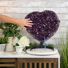 Extra Quality Amethyst Heart Geode, metal stand, 50 lbs & 19" Tall #5463-0190 by Brazil Gems - Brazil GemsBrazil GemsExtra Quality Amethyst Heart Geode, metal stand, 50 lbs & 19" Tall #5463-0190 by Brazil GemsHearts5463-0190