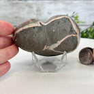 Extra Quality Amethyst Heart Geode on an Acrylic Stand, 1 lbs & 2.8" Tall #5462-0054 by Brazil Gems - Brazil GemsBrazil GemsExtra Quality Amethyst Heart Geode on an Acrylic Stand, 1 lbs & 2.8" Tall #5462-0054 by Brazil GemsHearts5462-0054