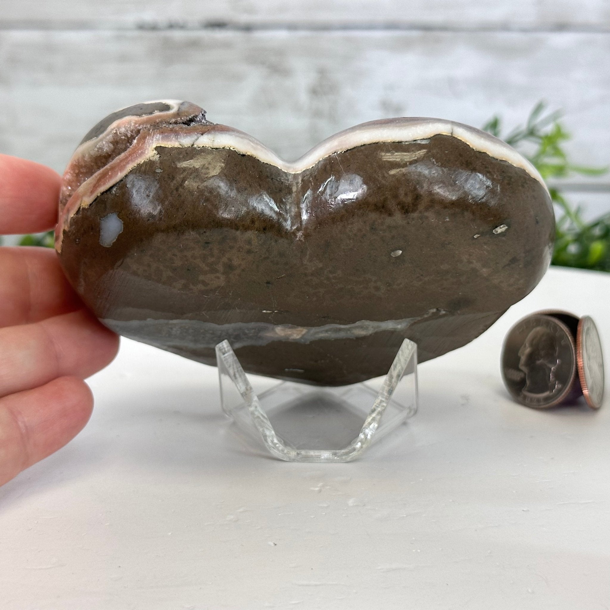 Extra Quality Amethyst Heart Geode on an Acrylic Stand, 1.08 lbs & 3.1" Tall #5462-0055 by Brazil Gems - Brazil GemsBrazil GemsExtra Quality Amethyst Heart Geode on an Acrylic Stand, 1.08 lbs & 3.1" Tall #5462-0055 by Brazil GemsHearts5462-0055