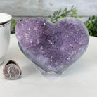 Extra Quality Amethyst Heart Geode on an Acrylic Stand 1.65 lbs & 3.25" Tall #5462-0098 by Brazil Gems - Brazil GemsBrazil GemsExtra Quality Amethyst Heart Geode on an Acrylic Stand 1.65 lbs & 3.25" Tall #5462-0098 by Brazil GemsHearts5462-0098