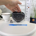 Extra Quality Amethyst Heart Geode on an Acrylic Stand 1.78 lbs & 3.9" Tall #5462-0099 by Brazil Gems - Brazil GemsBrazil GemsExtra Quality Amethyst Heart Geode on an Acrylic Stand 1.78 lbs & 3.9" Tall #5462-0099 by Brazil GemsHearts5462-0099