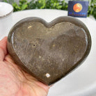 Extra Quality Amethyst Heart Geode on an Acrylic Stand, 1.83 lbs & 3.6" Tall #5462-0065 by Brazil Gems - Brazil GemsBrazil GemsExtra Quality Amethyst Heart Geode on an Acrylic Stand, 1.83 lbs & 3.6" Tall #5462-0065 by Brazil GemsHearts5462-0065