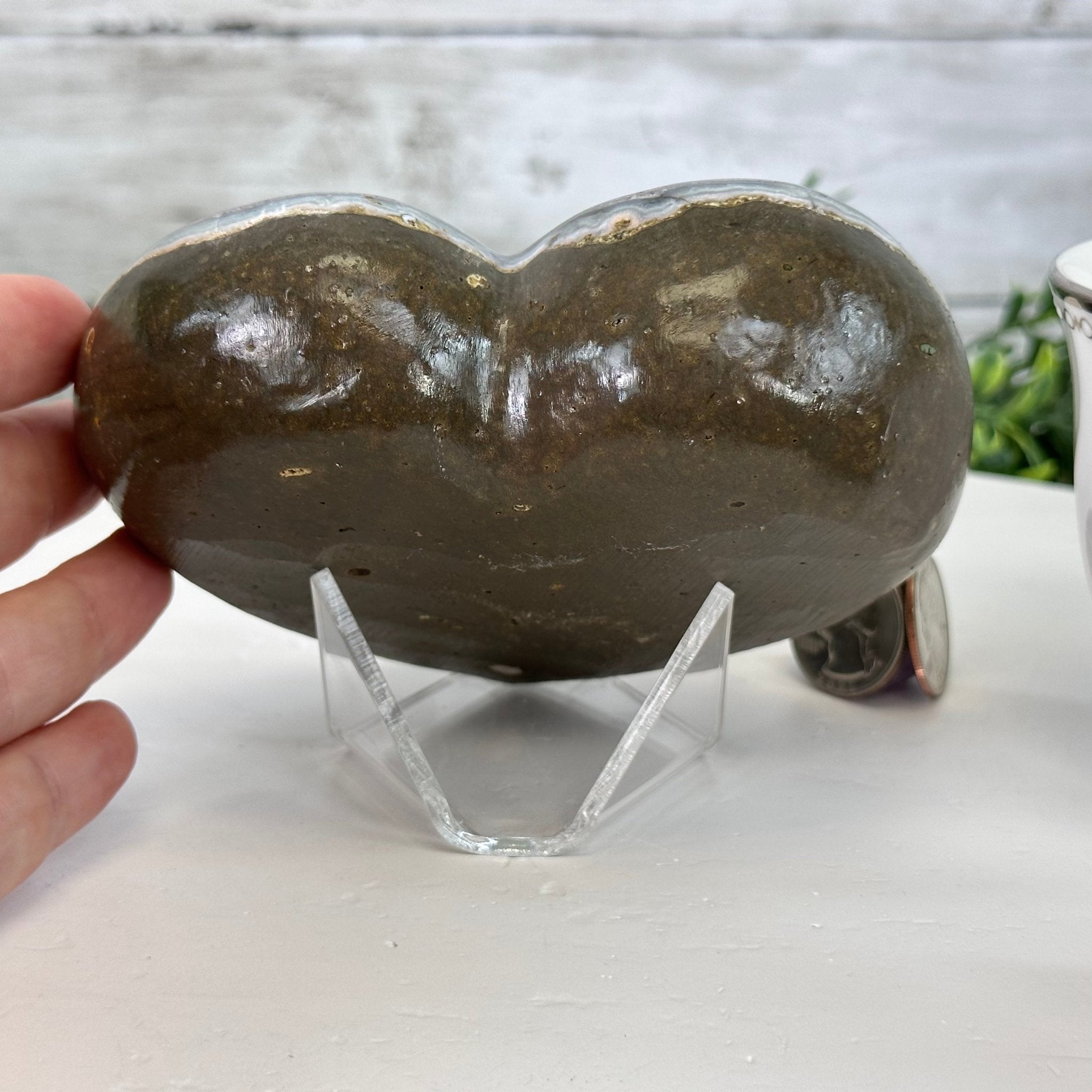 Extra Quality Amethyst Heart Geode on an Acrylic Stand, 1.83 lbs & 3.6" Tall #5462-0065 by Brazil Gems - Brazil GemsBrazil GemsExtra Quality Amethyst Heart Geode on an Acrylic Stand, 1.83 lbs & 3.6" Tall #5462-0065 by Brazil GemsHearts5462-0065