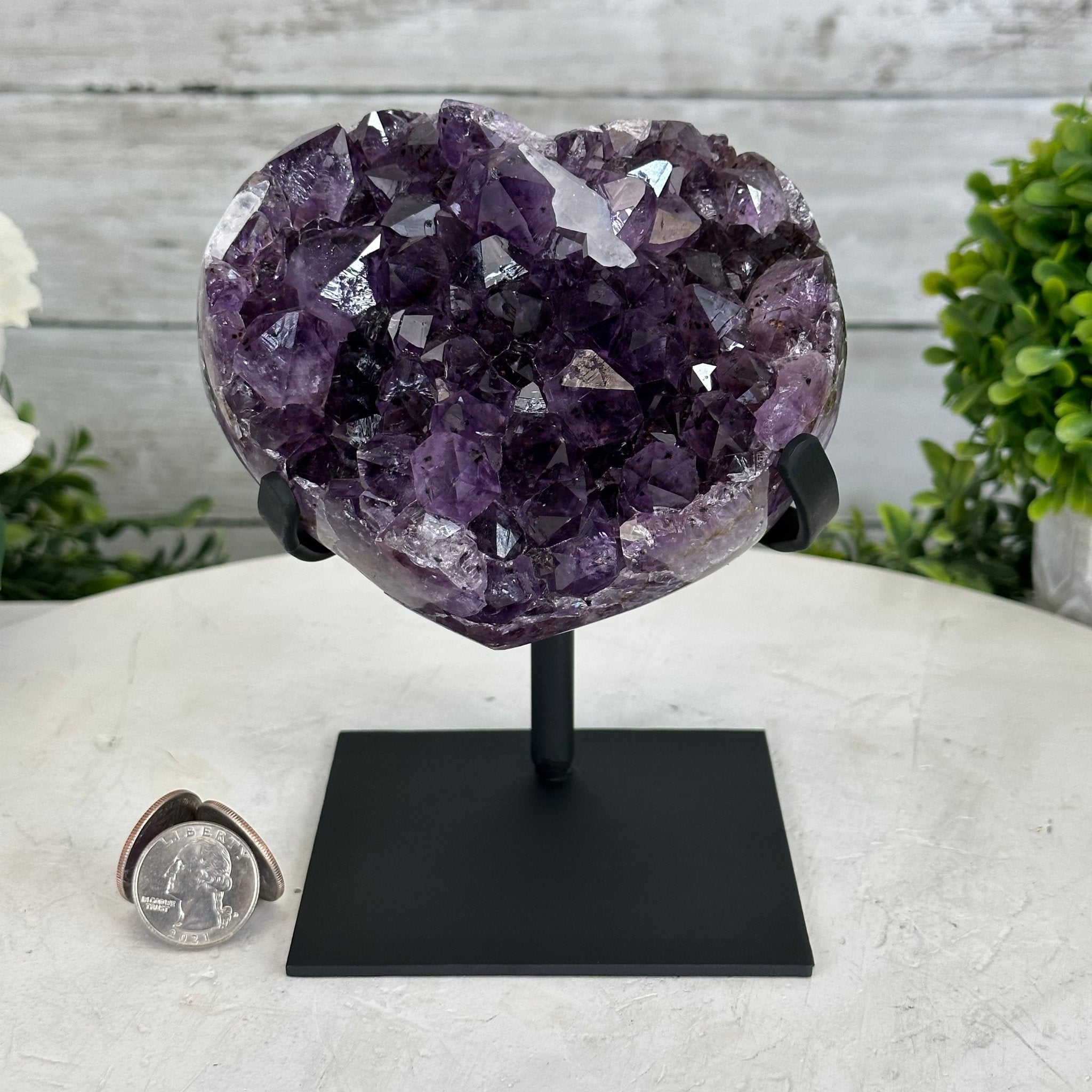 Extra Quality Amethyst Heart Geode w/ metal stand, 3.1 lbs & 5.8" Tall #5463-0278 by Brazil Gems - Brazil GemsBrazil GemsExtra Quality Amethyst Heart Geode w/ metal stand, 3.1 lbs & 5.8" Tall #5463-0278 by Brazil GemsHearts5463-0278