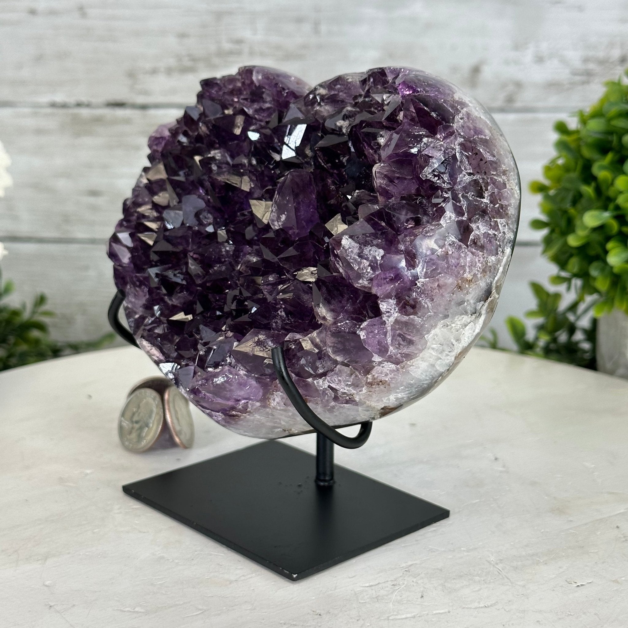 Extra Quality Amethyst Heart Geode w/ metal stand, 3.2 lbs & 5.5" Tall #5463-0280 by Brazil Gems - Brazil GemsBrazil GemsExtra Quality Amethyst Heart Geode w/ metal stand, 3.2 lbs & 5.5" Tall #5463-0280 by Brazil GemsHearts5463-0280