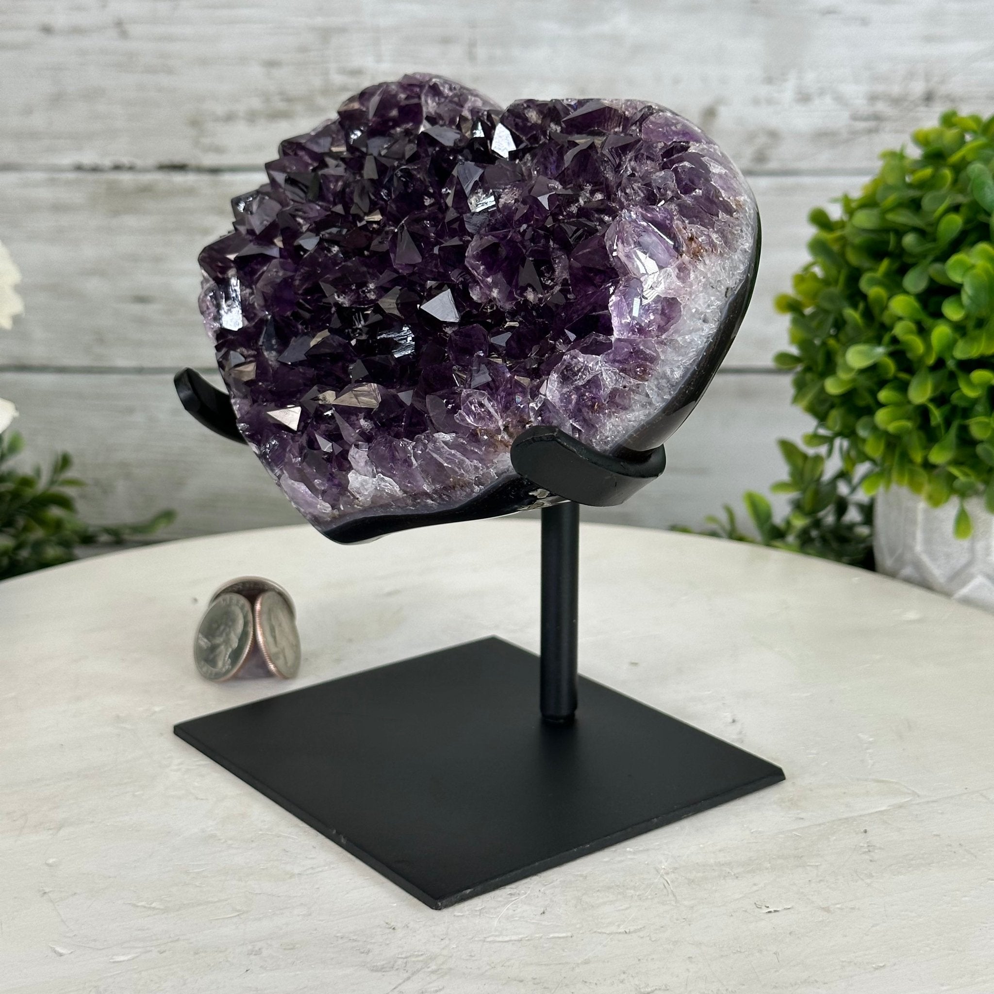 Extra Quality Amethyst Heart Geode w/ metal stand, 3.5 lbs & 6.5" Tall #5463-0281 by Brazil Gems - Brazil GemsBrazil GemsExtra Quality Amethyst Heart Geode w/ metal stand, 3.5 lbs & 6.5" Tall #5463-0281 by Brazil GemsHearts5463-0281