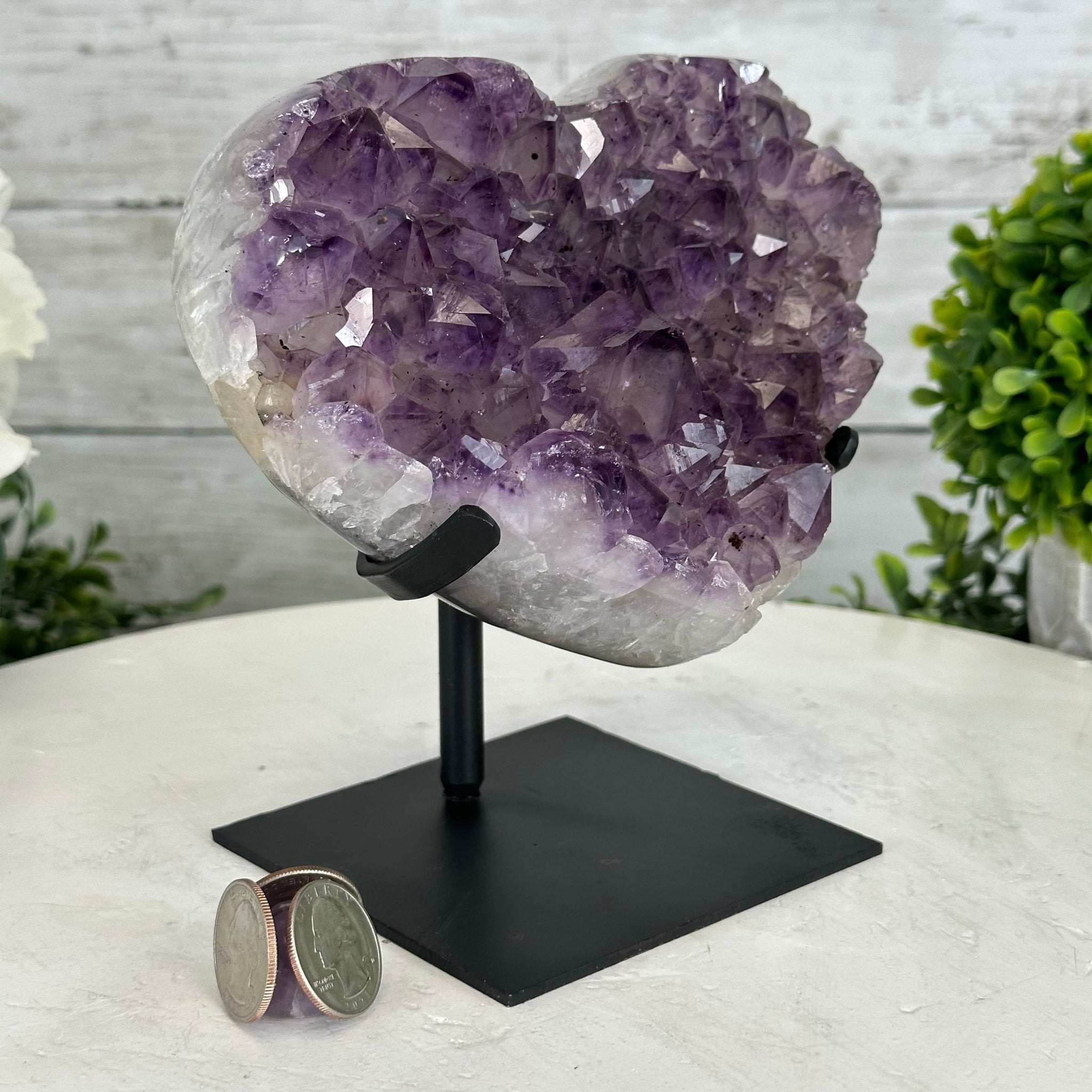Extra Quality Amethyst Heart Geode w/ metal stand, 4.1 lbs & 6.2" Tall #5463-0285 by Brazil Gems - Brazil GemsBrazil GemsExtra Quality Amethyst Heart Geode w/ metal stand, 4.1 lbs & 6.2" Tall #5463-0285 by Brazil GemsHearts5463-0285