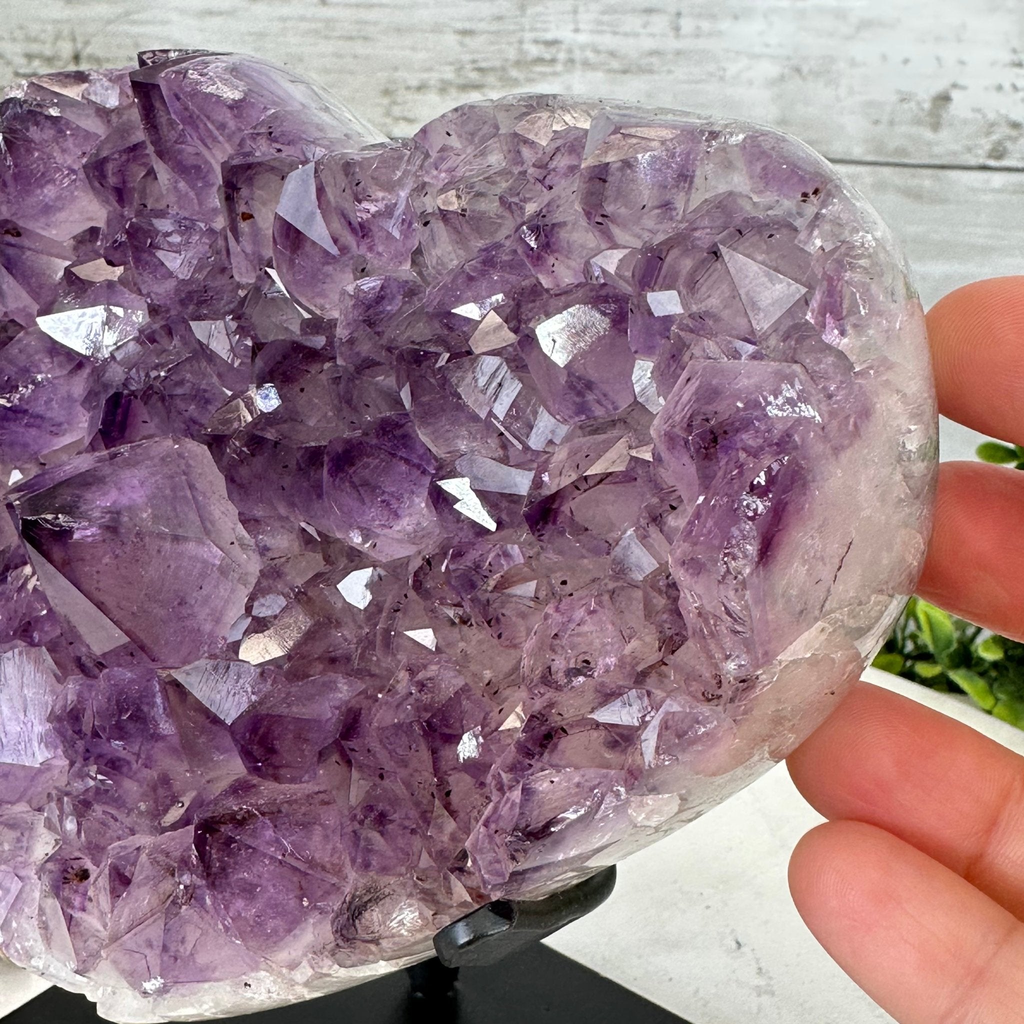 Extra Quality Amethyst Heart Geode w/ metal stand, 4.1 lbs & 6.2" Tall #5463-0285 by Brazil Gems - Brazil GemsBrazil GemsExtra Quality Amethyst Heart Geode w/ metal stand, 4.1 lbs & 6.2" Tall #5463-0285 by Brazil GemsHearts5463-0285
