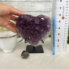 Extra Quality Amethyst Heart Geode w/ metal stand, 4.6 lbs & 6" Tall #5463-0287 by Brazil Gems - Brazil GemsBrazil GemsExtra Quality Amethyst Heart Geode w/ metal stand, 4.6 lbs & 6" Tall #5463-0287 by Brazil GemsHearts5463-0287