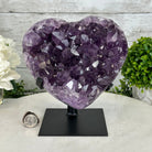 Extra Quality Amethyst Heart Geode w/ metal stand, 7.1 lbs & 8" Tall #5463-0292 - Brazil GemsBrazil GemsExtra Quality Amethyst Heart Geode w/ metal stand, 7.1 lbs & 8" Tall #5463-0292Hearts5463-0292