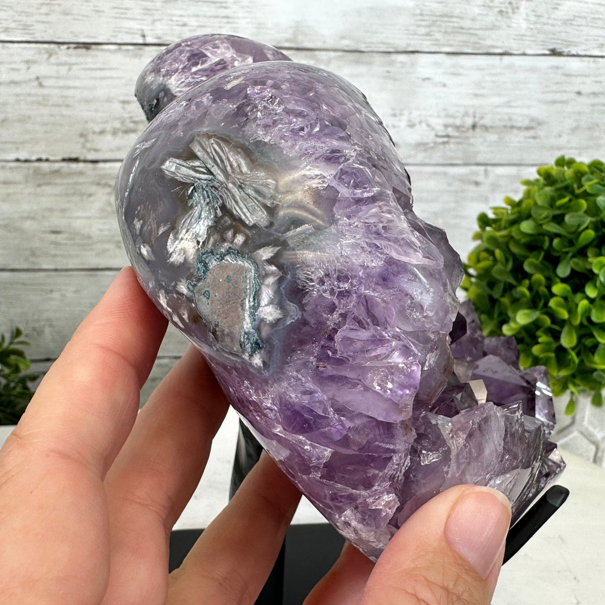 Extra Quality Amethyst Heart Geode w/ metal stand, 7.1 lbs & 8" Tall #5463-0292 - Brazil GemsBrazil GemsExtra Quality Amethyst Heart Geode w/ metal stand, 7.1 lbs & 8" Tall #5463-0292Hearts5463-0292