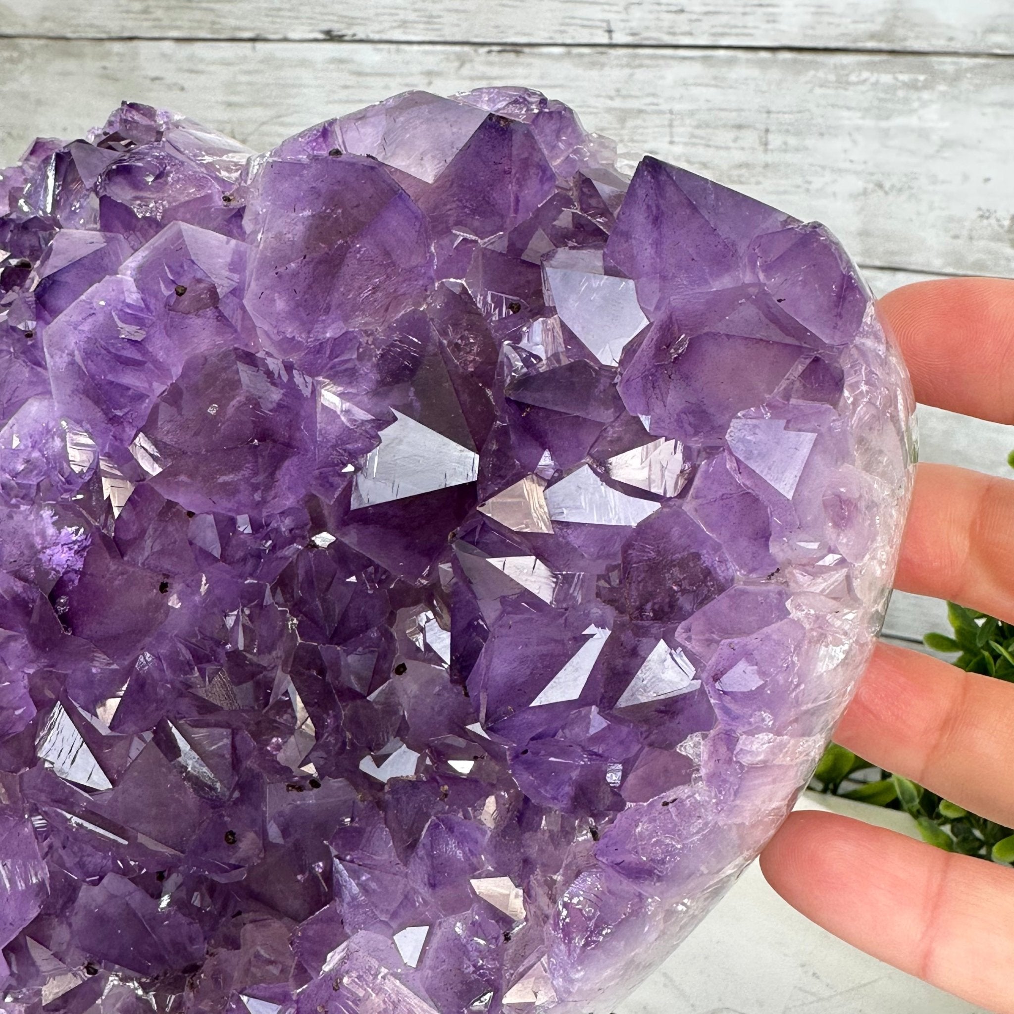 Extra Quality Amethyst Heart Geode w/ metal stand, 8.7 lbs & 8" Tall #5463-0293 - Brazil GemsBrazil GemsExtra Quality Amethyst Heart Geode w/ metal stand, 8.7 lbs & 8" Tall #5463-0293Hearts5463-0293