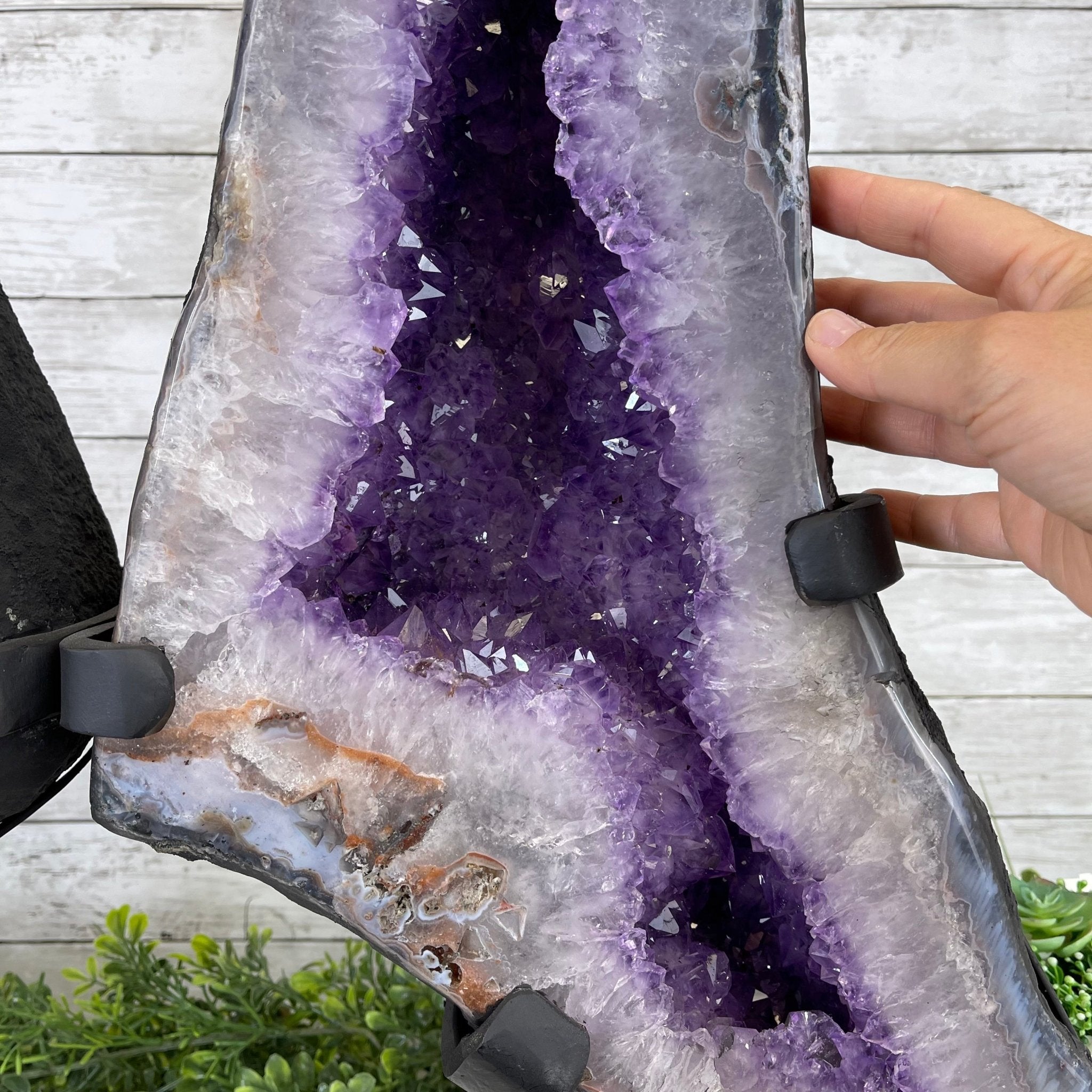 Extra Quality Amethyst Wings on a Metal Stand, 143.3 lbs, 30.5" Tall #5493-0019 - Brazil GemsBrazil GemsExtra Quality Amethyst Wings on a Metal Stand, 143.3 lbs, 30.5" Tall #5493-0019Amethyst Butterfly Wings5493-0019