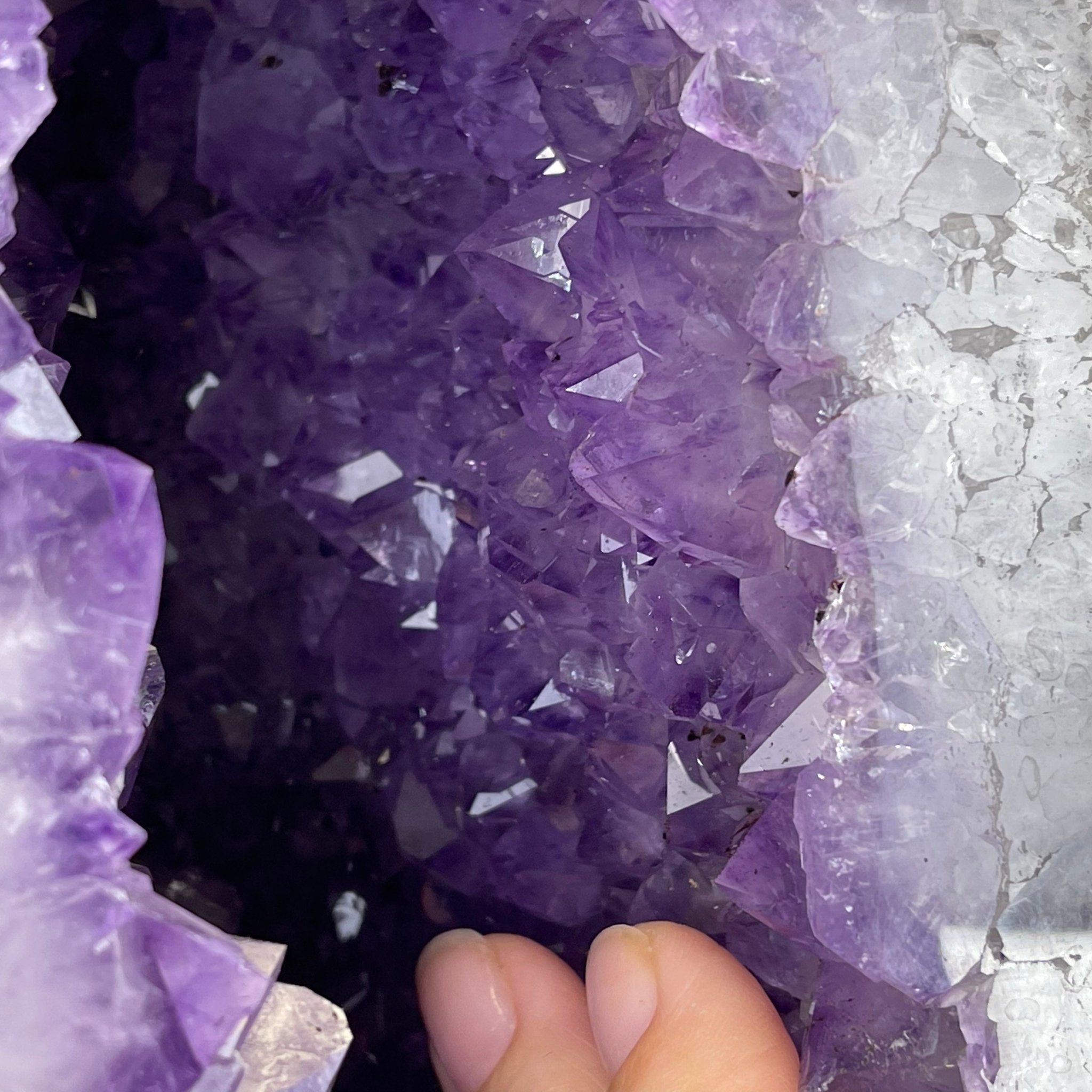 Extra Quality Amethyst Wings on a Metal Stand, 143.3 lbs, 30.5" Tall #5493-0019 - Brazil GemsBrazil GemsExtra Quality Amethyst Wings on a Metal Stand, 143.3 lbs, 30.5" Tall #5493-0019Amethyst Butterfly Wings5493-0019