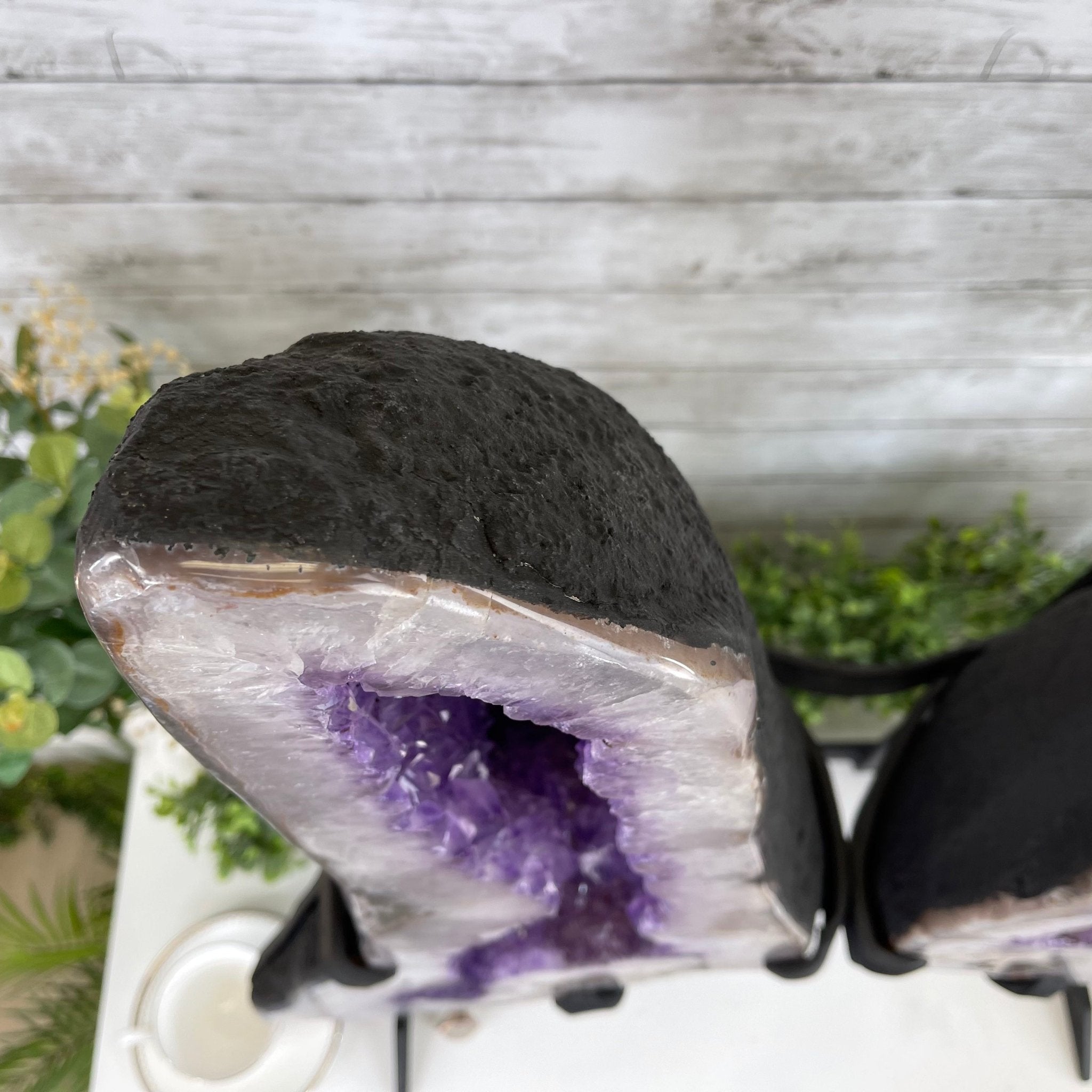 Extra Quality Amethyst Wings on a Metal Stand, 143.3 lbs, 30.5" Tall #5493-0019 - Brazil GemsBrazil GemsExtra Quality Amethyst Wings on a Metal Stand, 143.3 lbs, 30.5" Tall #5493-0019Amethyst Butterfly Wings5493-0019