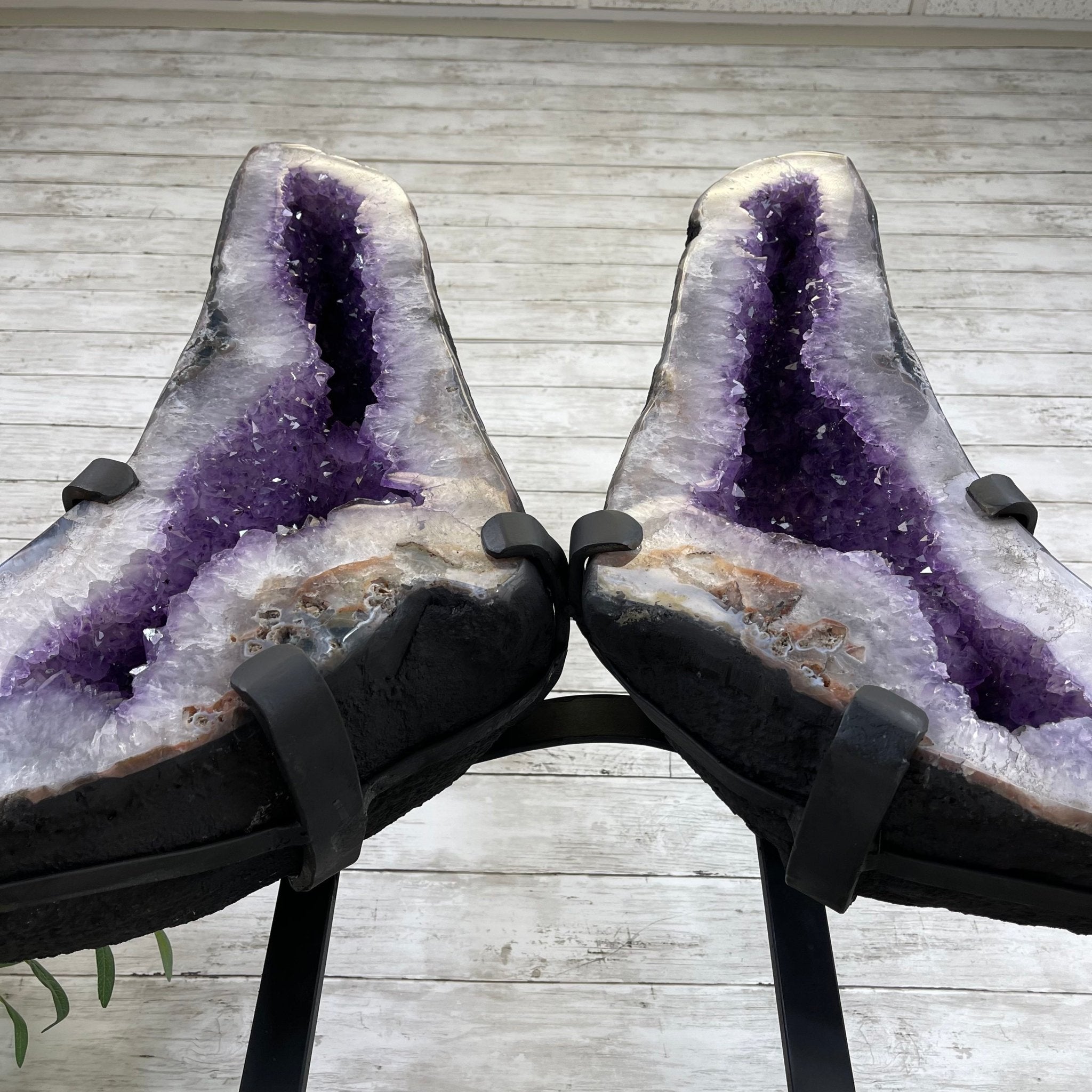Extra Quality Amethyst Wings on a Metal Stand, 143.3 lbs, 30.5" Tall #5493-0019 - Brazil GemsBrazil GemsExtra Quality Amethyst Wings on a Metal Stand, 143.3 lbs, 30.5" Tall #5493-0019Amethyst Butterfly Wings5493-0019