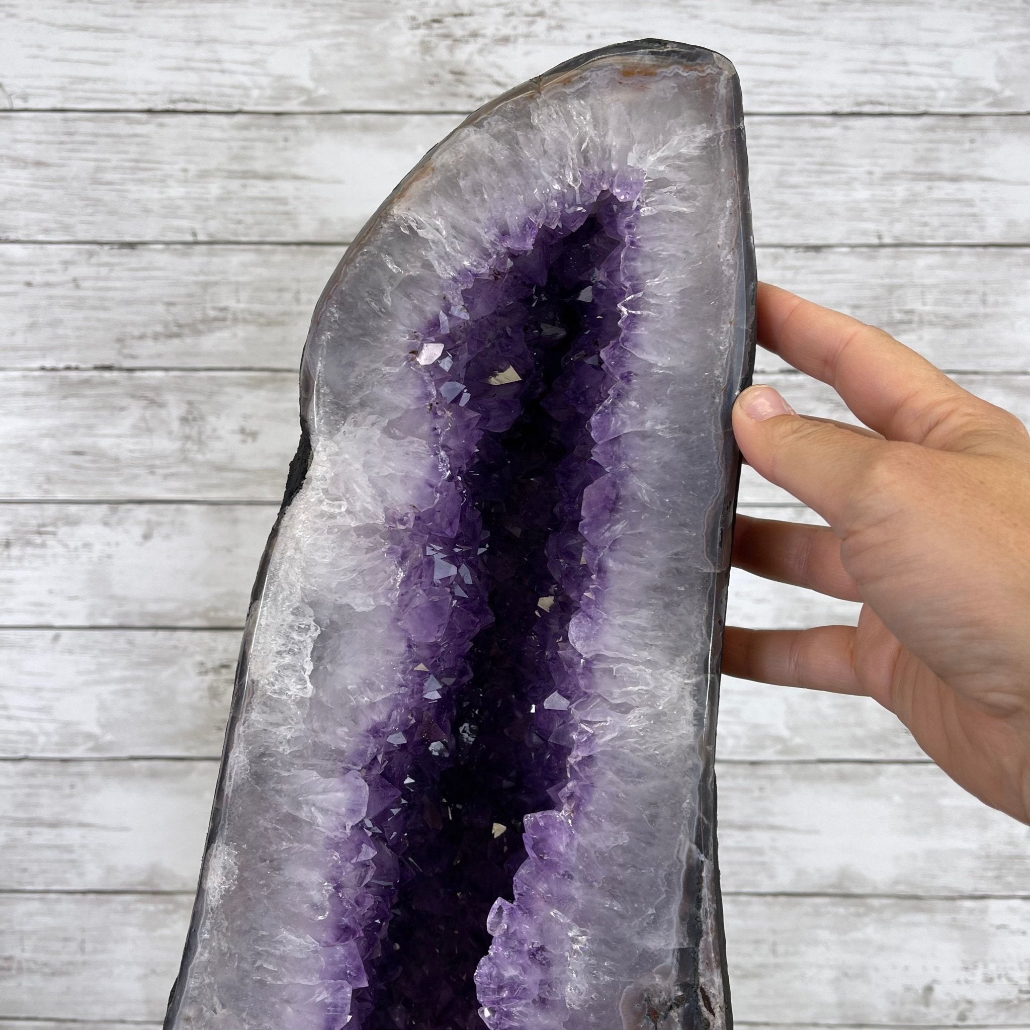 Extra Quality Amethyst Wings on a Metal Stand, 143.3 lbs, 30.5" Tall #5493-0019 - Brazil GemsBrazil GemsExtra Quality Amethyst Wings on a Metal Stand, 143.3 lbs, 30.5" Tall #5493-0019Amethyst Butterfly Wings5493-0019