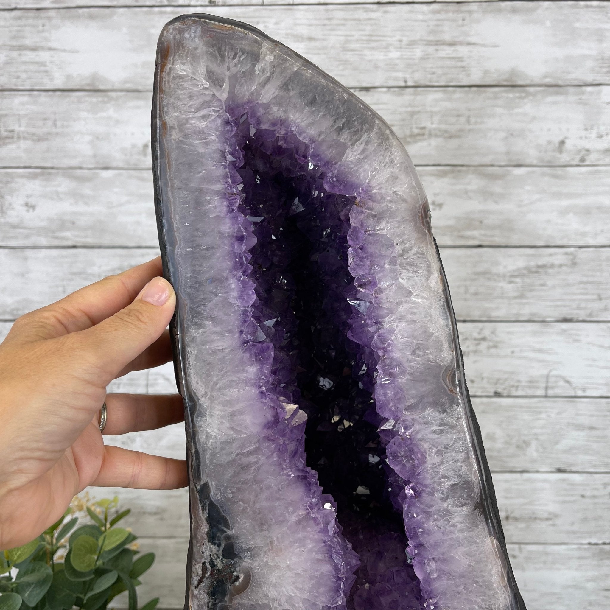 Extra Quality Amethyst Wings on a Metal Stand, 143.3 lbs, 30.5" Tall #5493-0019 - Brazil GemsBrazil GemsExtra Quality Amethyst Wings on a Metal Stand, 143.3 lbs, 30.5" Tall #5493-0019Amethyst Butterfly Wings5493-0019