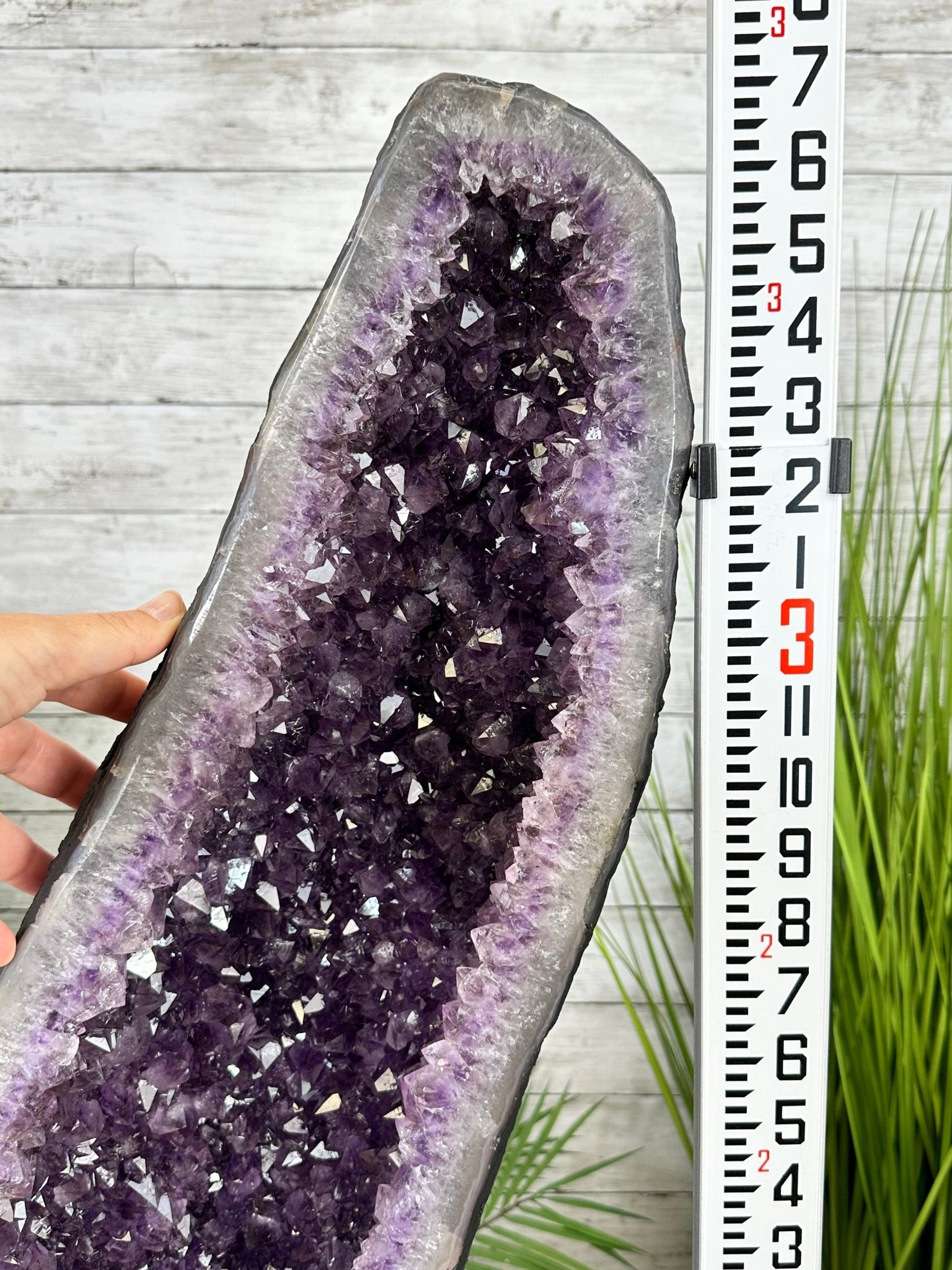Extra Quality Brazilian Amethyst Cathedral, 103.6 lbs & 43" Tall, Model #5601-1212 by Brazil Gems - Brazil GemsBrazil GemsExtra Quality Brazilian Amethyst Cathedral, 103.6 lbs & 43" Tall, Model #5601-1212 by Brazil GemsCathedrals5601-1212