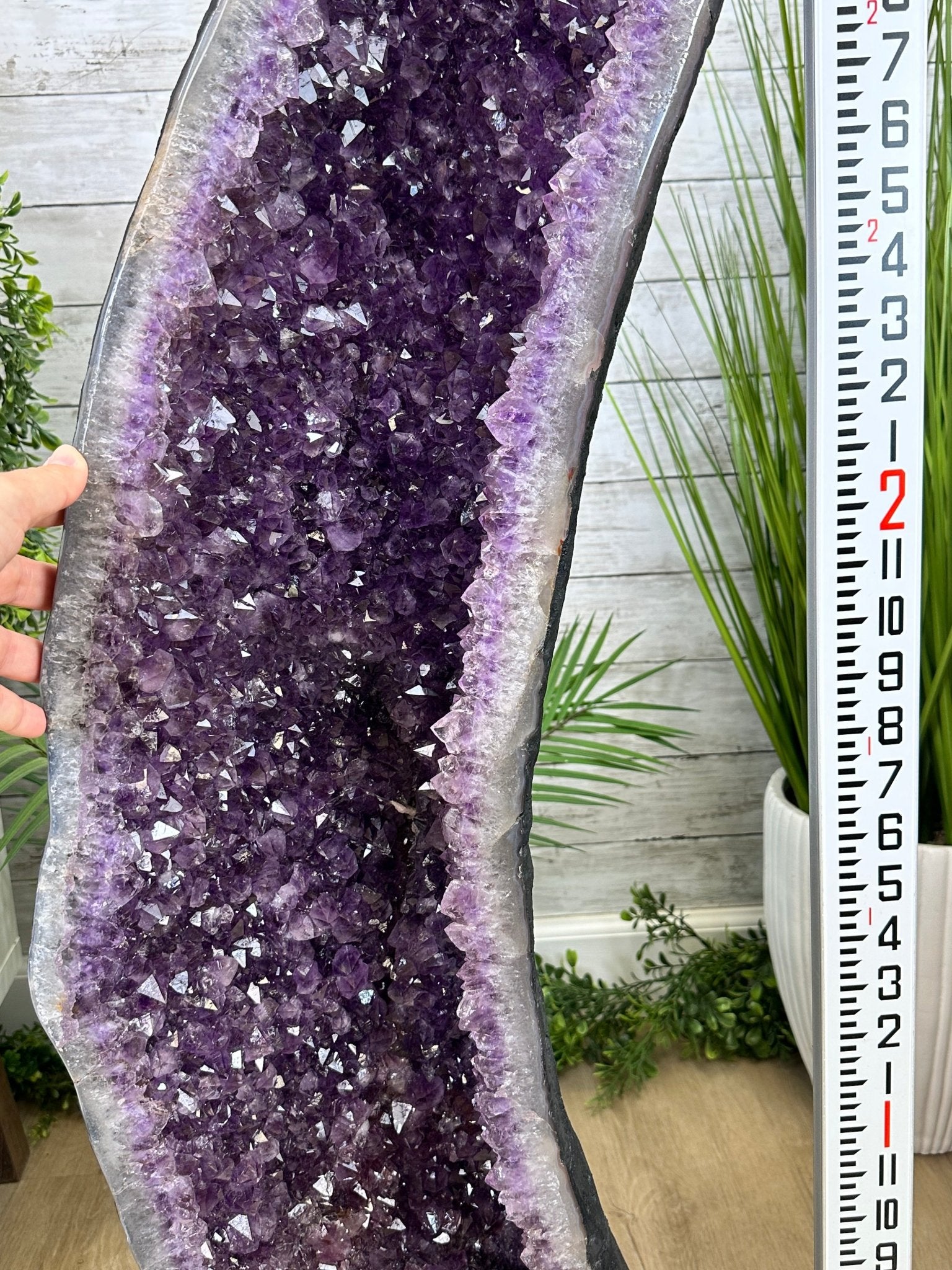 Extra Quality Brazilian Amethyst Cathedral, 103.6 lbs & 43" Tall, Model #5601-1212 by Brazil Gems - Brazil GemsBrazil GemsExtra Quality Brazilian Amethyst Cathedral, 103.6 lbs & 43" Tall, Model #5601-1212 by Brazil GemsCathedrals5601-1212