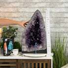 Extra Quality Brazilian Amethyst Cathedral, 108 lbs & 24.25" Tall, Model #5601-1183 by Brazil Gems - Brazil GemsBrazil GemsExtra Quality Brazilian Amethyst Cathedral, 108 lbs & 24.25" Tall, Model #5601-1183 by Brazil GemsCathedrals5601-1183