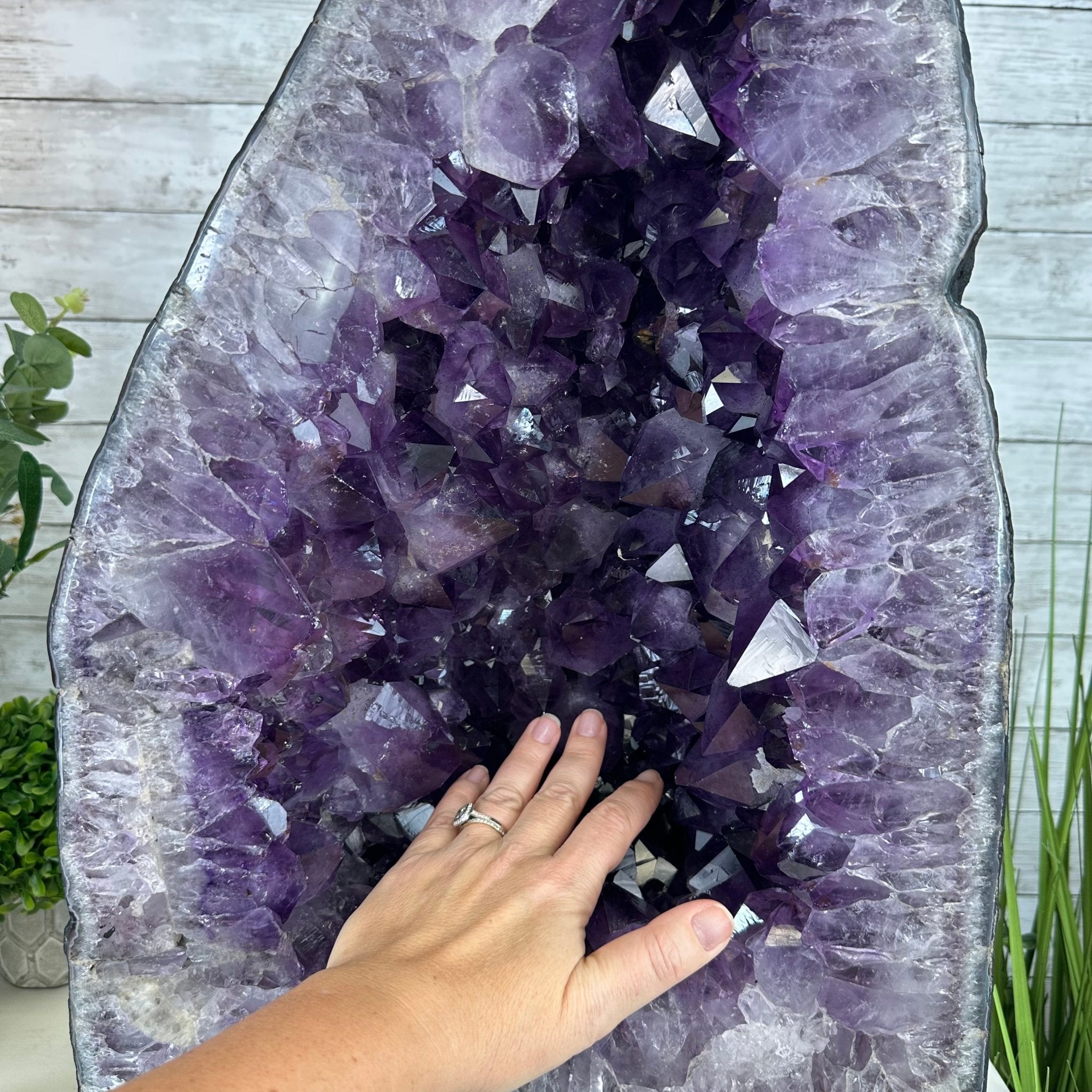 Extra Quality Brazilian Amethyst Cathedral, 108 lbs & 24.25" Tall, Model #5601-1183 by Brazil Gems - Brazil GemsBrazil GemsExtra Quality Brazilian Amethyst Cathedral, 108 lbs & 24.25" Tall, Model #5601-1183 by Brazil GemsCathedrals5601-1183