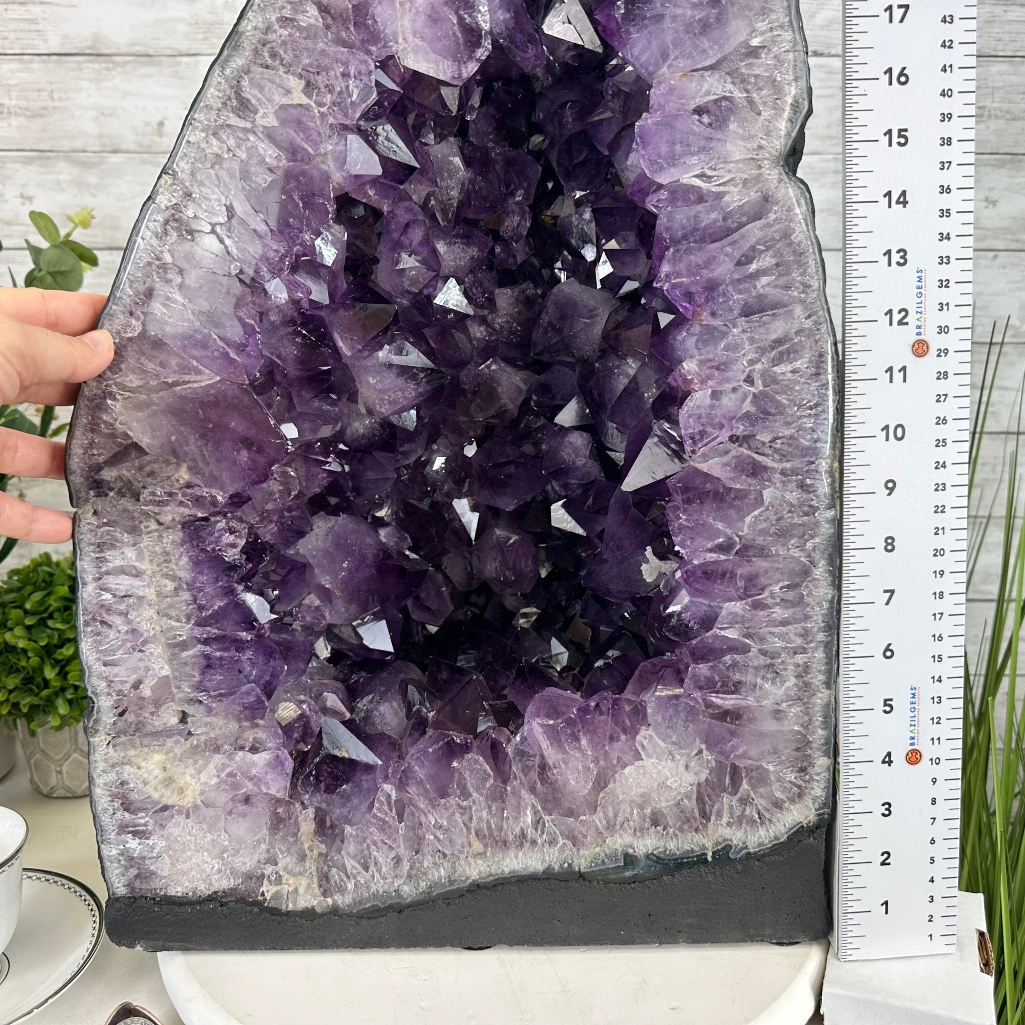 Extra Quality Brazilian Amethyst Cathedral, 108 lbs & 24.25" Tall, Model #5601-1183 by Brazil Gems - Brazil GemsBrazil GemsExtra Quality Brazilian Amethyst Cathedral, 108 lbs & 24.25" Tall, Model #5601-1183 by Brazil GemsCathedrals5601-1183